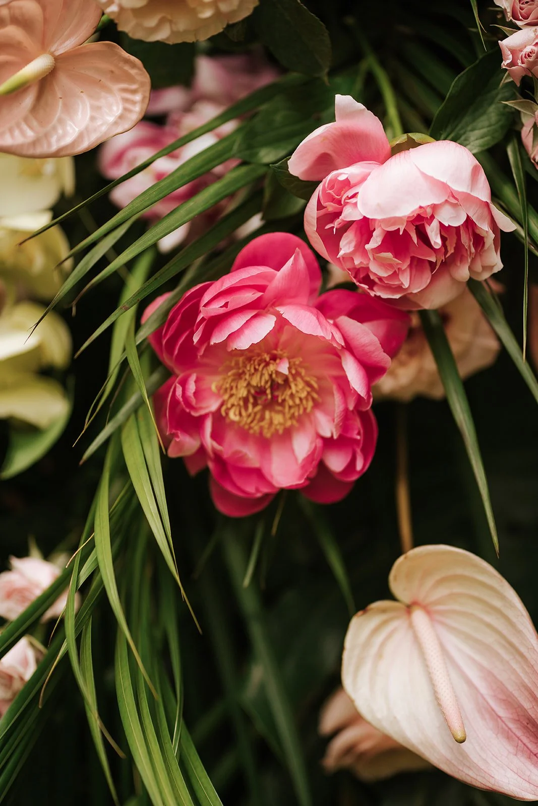 coral peonies and white anthurium with tropical greens