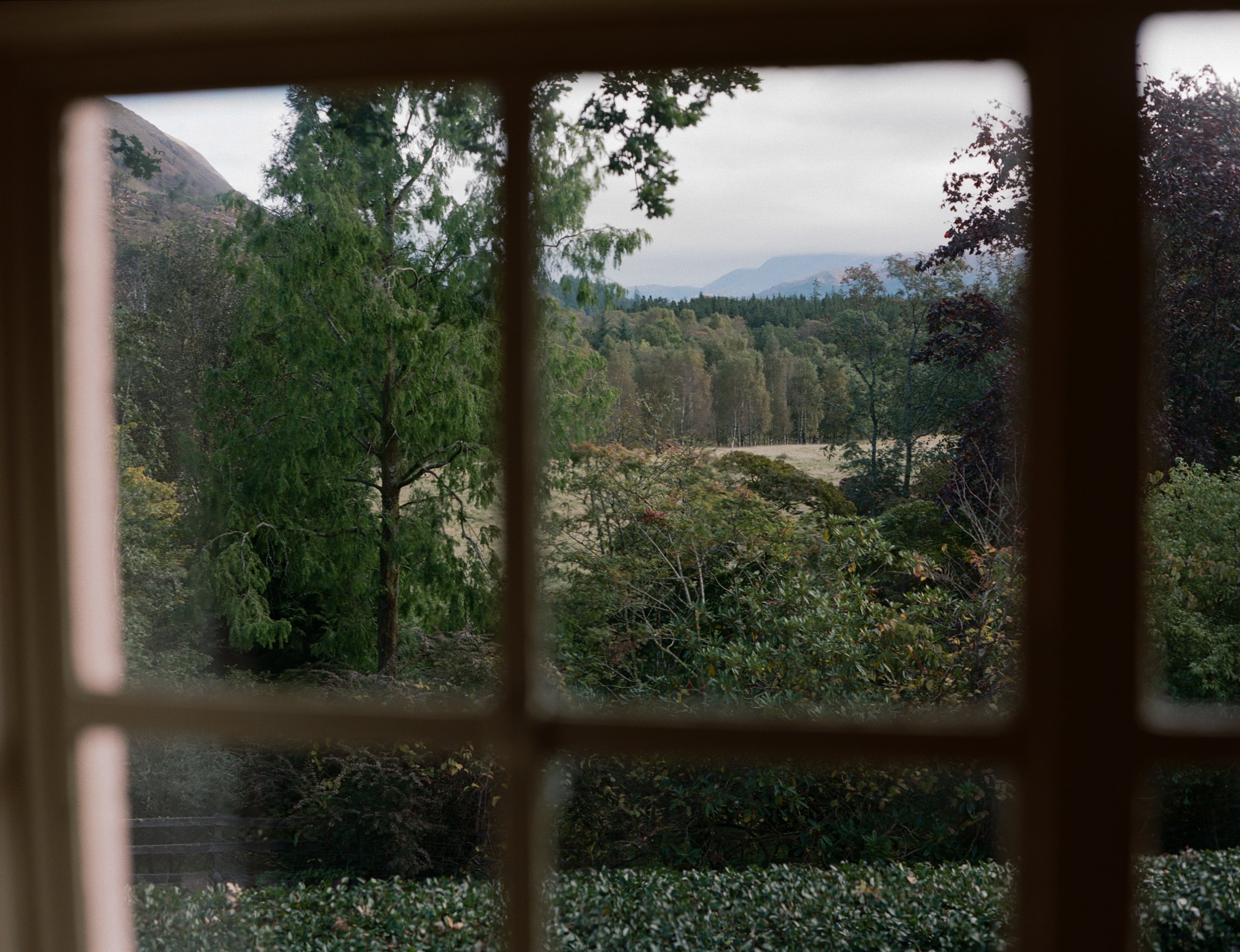 View of lush green trees and distant mountains seen through a window with wooden frames.