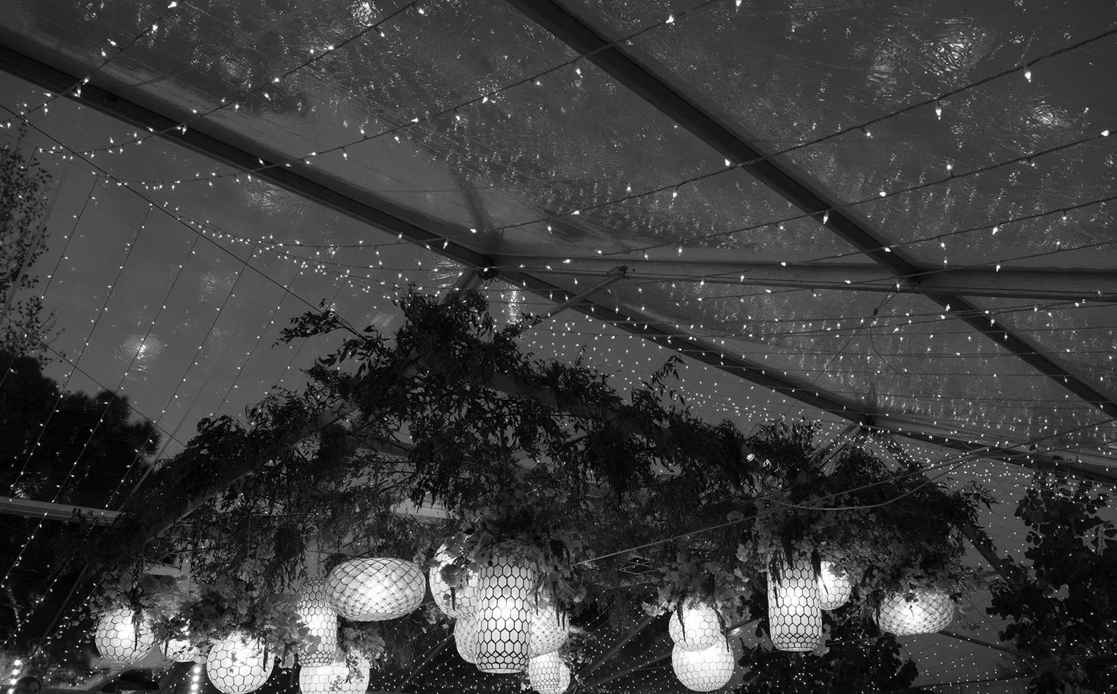 black and white photo of night sky with trees in tent with lanterns hanging down
