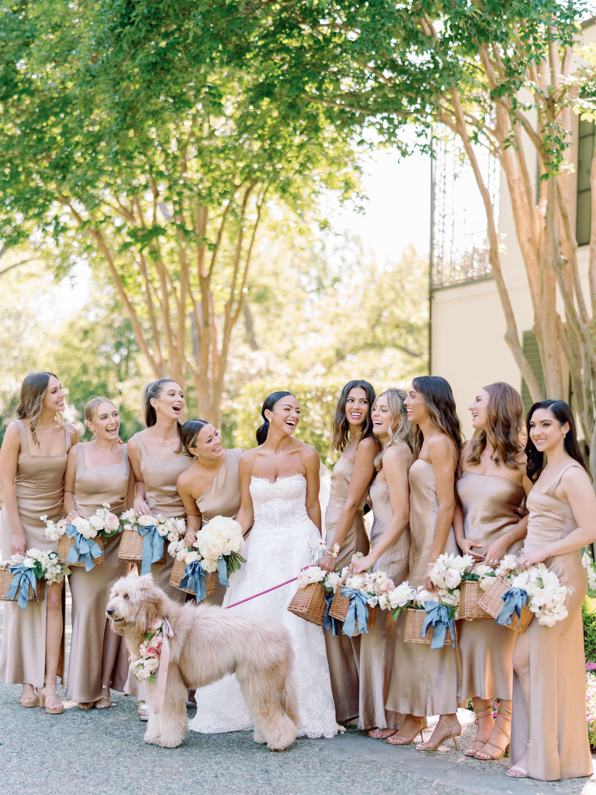 A bride is looking at girls in nude dresses and laughing with a dog in front of them