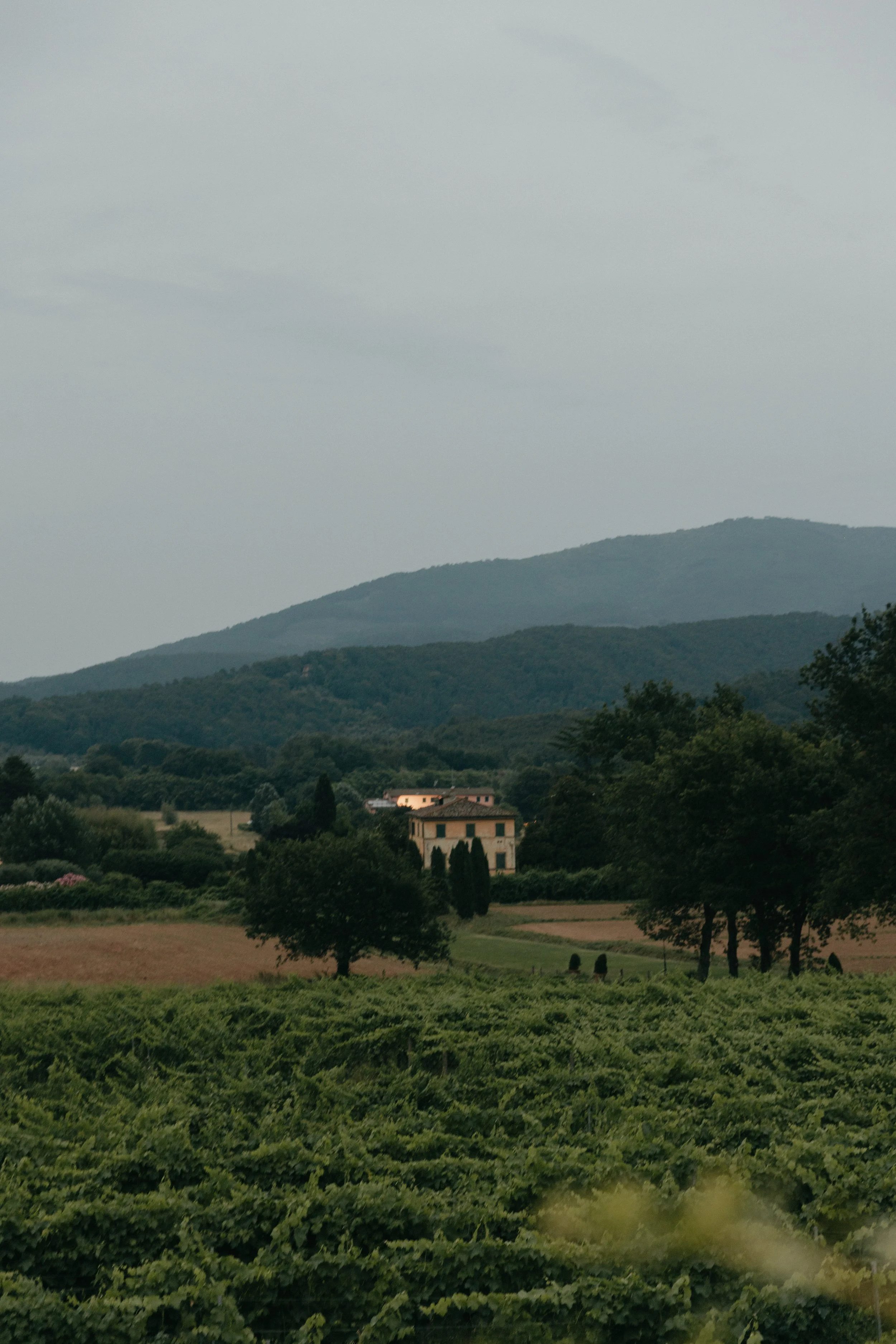 Villa Buonvisi in Tuscany