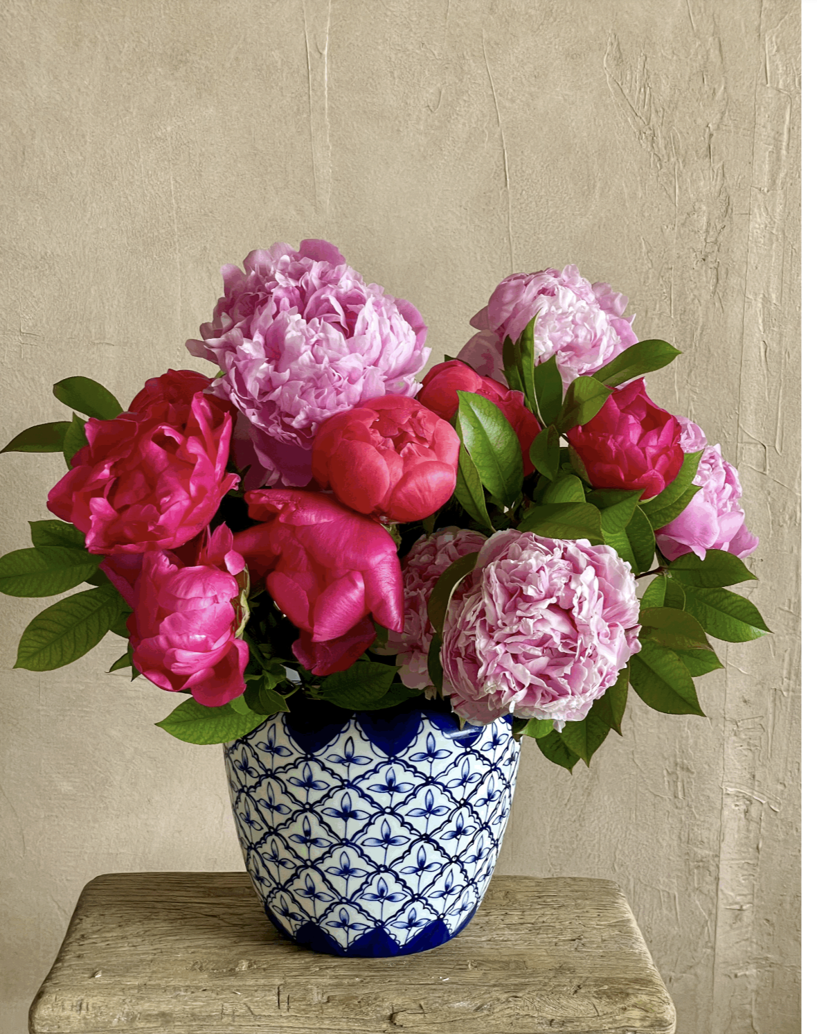 Screenshot 2026-02-15 at 5.19.45 PM.png