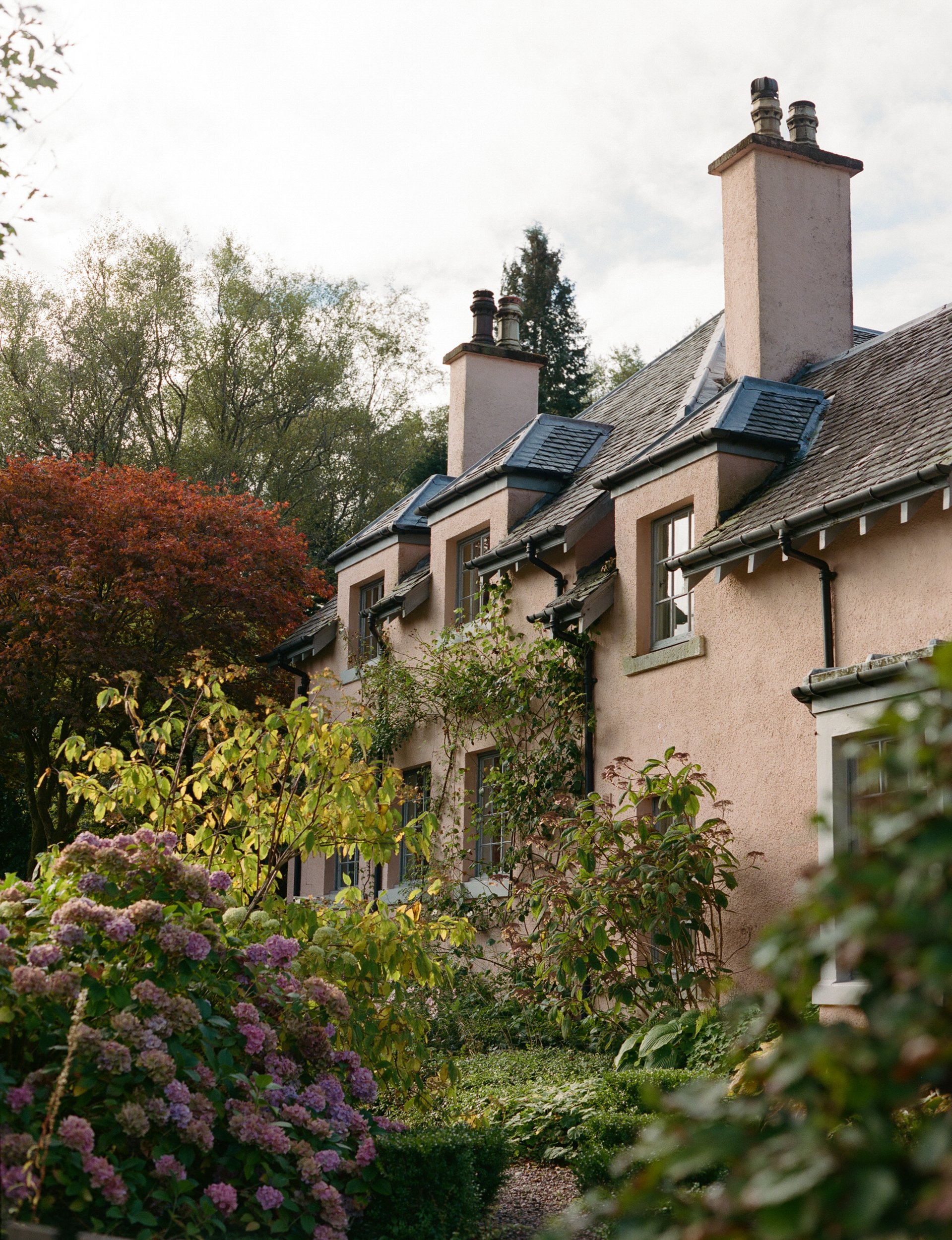 A pink stucco house with multiple chimneys and small windows, surrounded by lush greenery and blooming flowers, including hydrangeas and small trees.