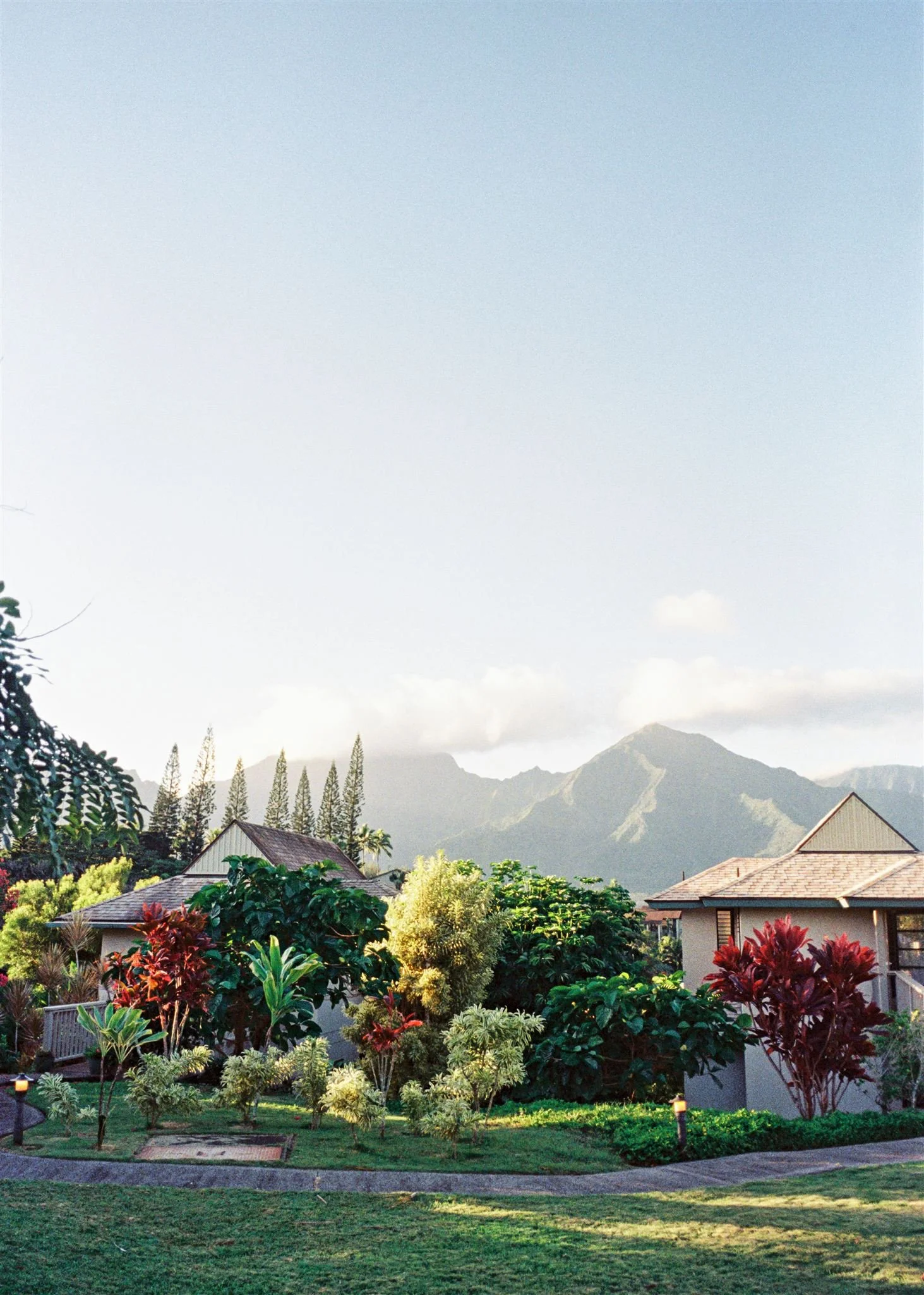 landscape Kauai Hawaii