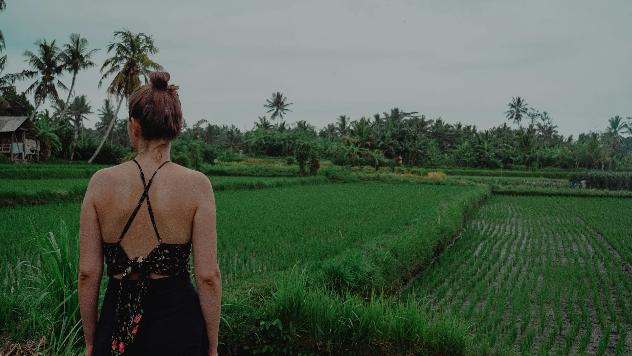 Morning Rice Field & Village Walk