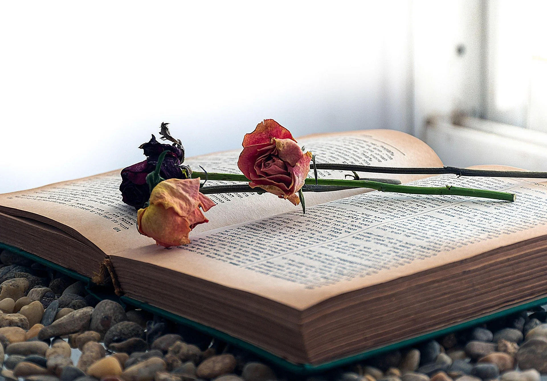 Buch mit Blumen