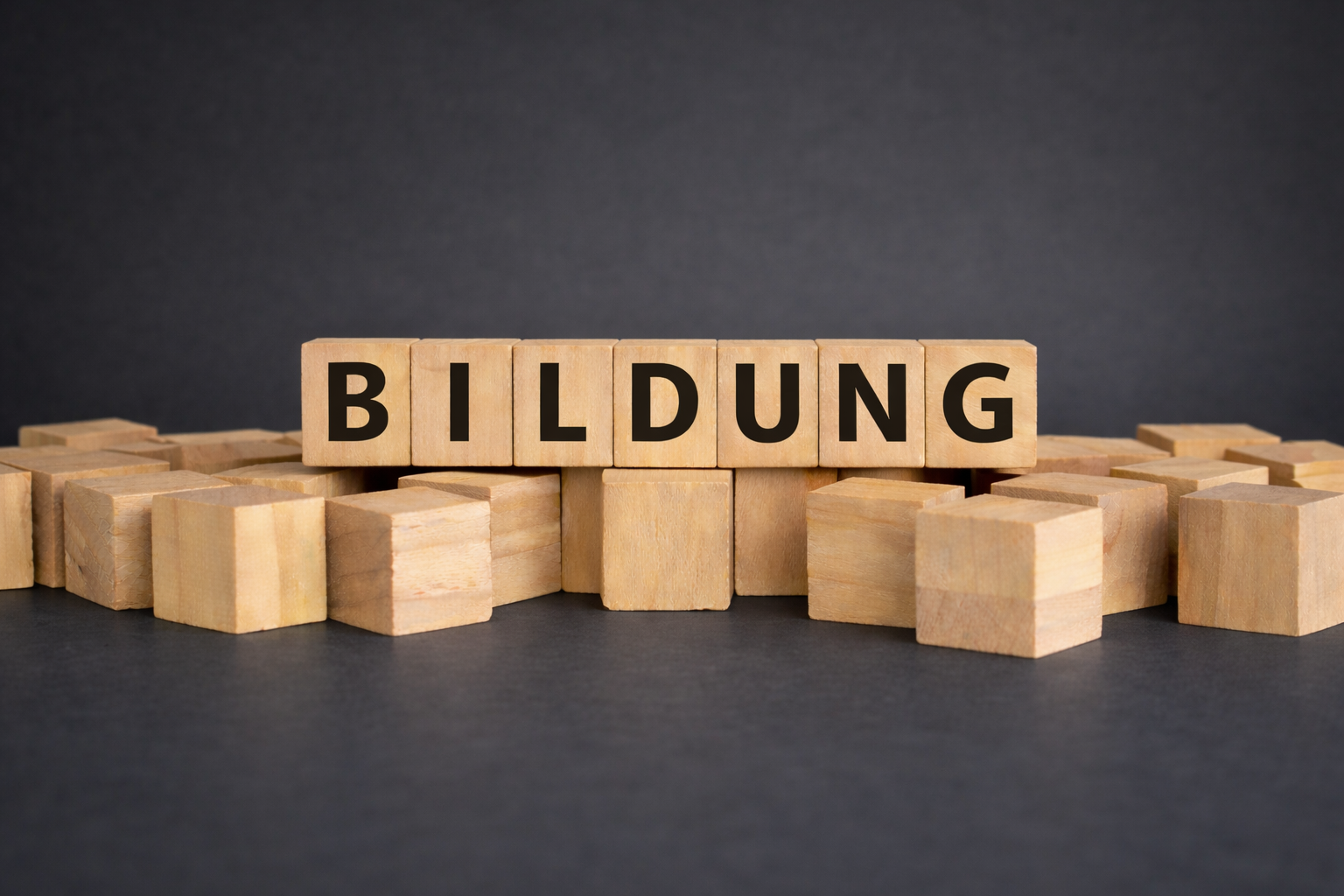 Holzklötze mit dem Wort 'Bildung' aufgedruckt, auf einem schwarzen Hintergrund