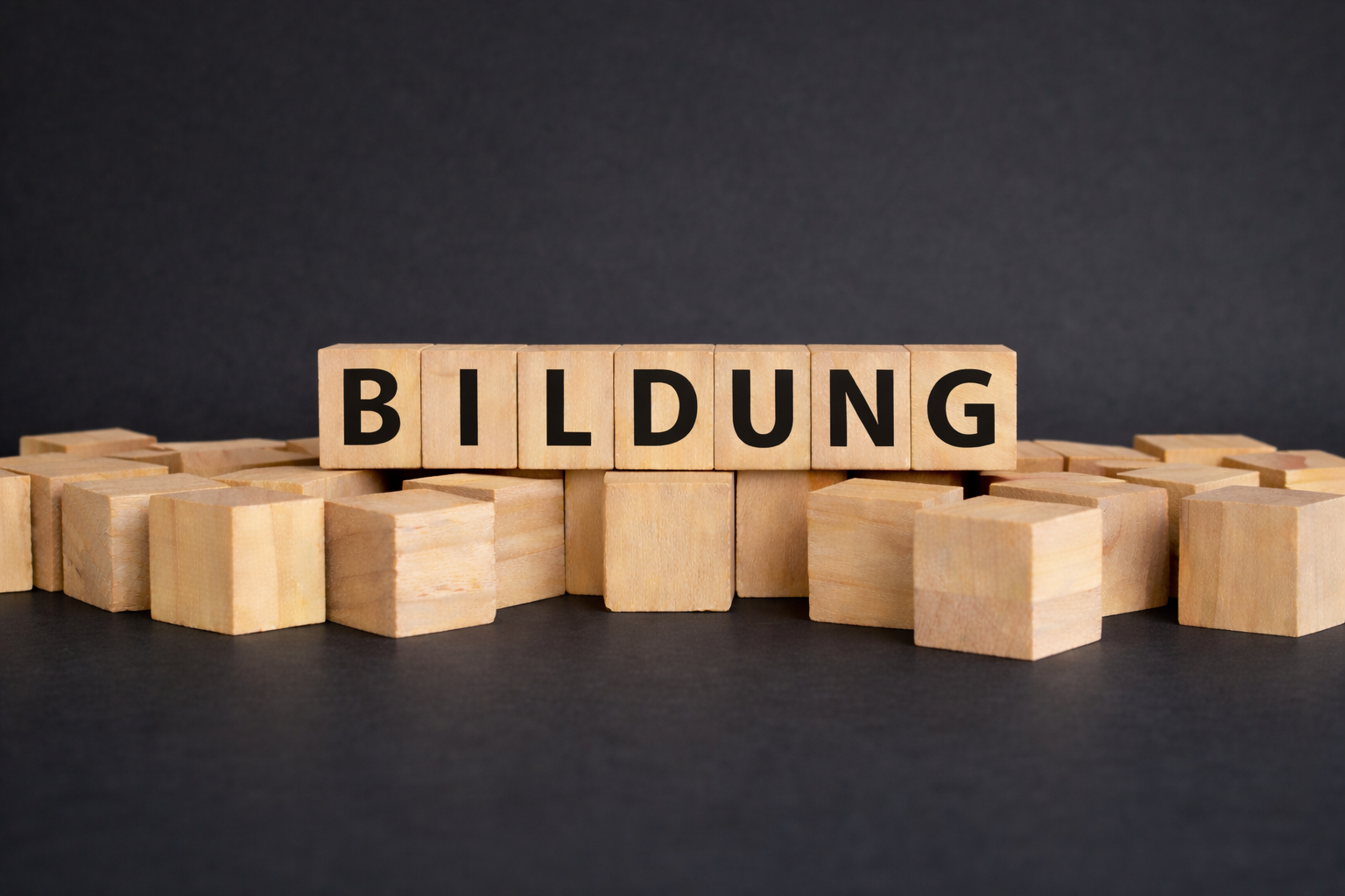Holzklötze mit der Aufschrift 'Bildung' auf schwarzem Hintergrund.