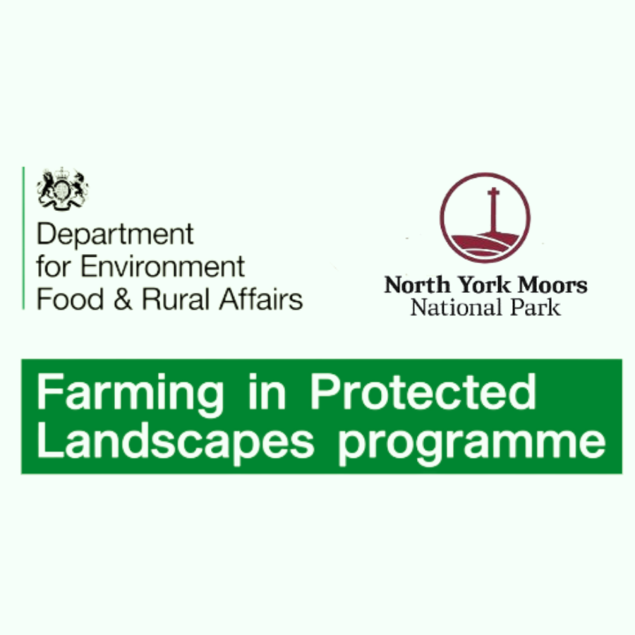 FiPL Project Reports