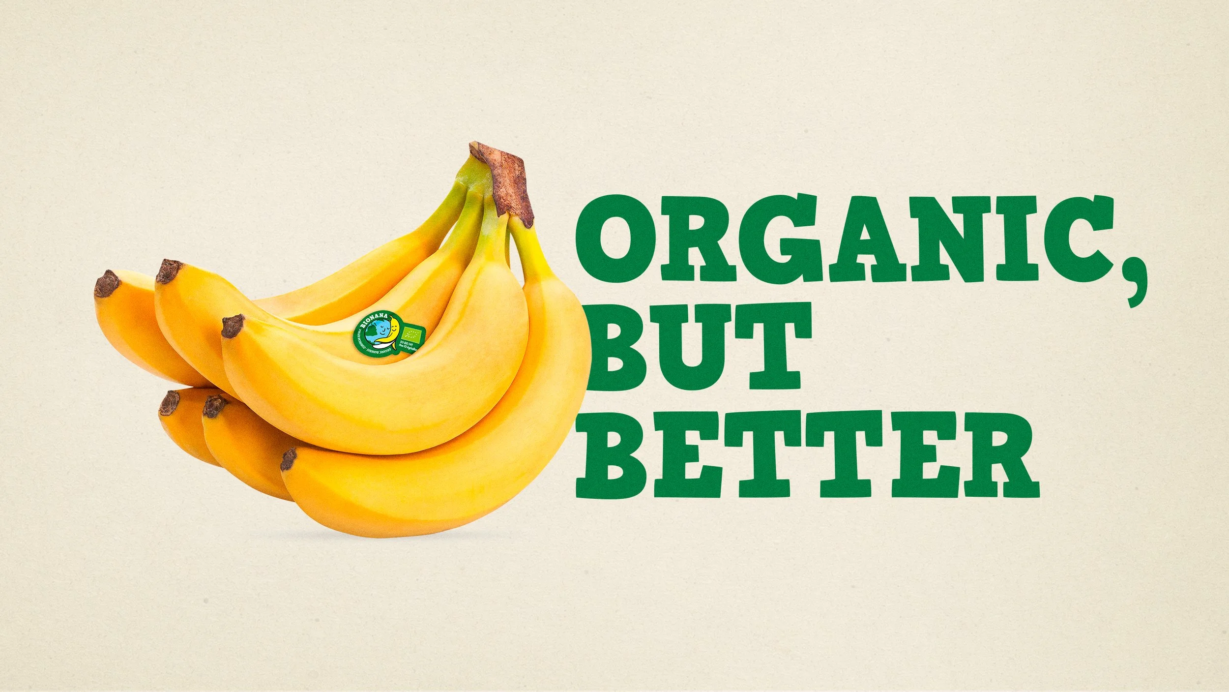 Bionana branding 02.jpg