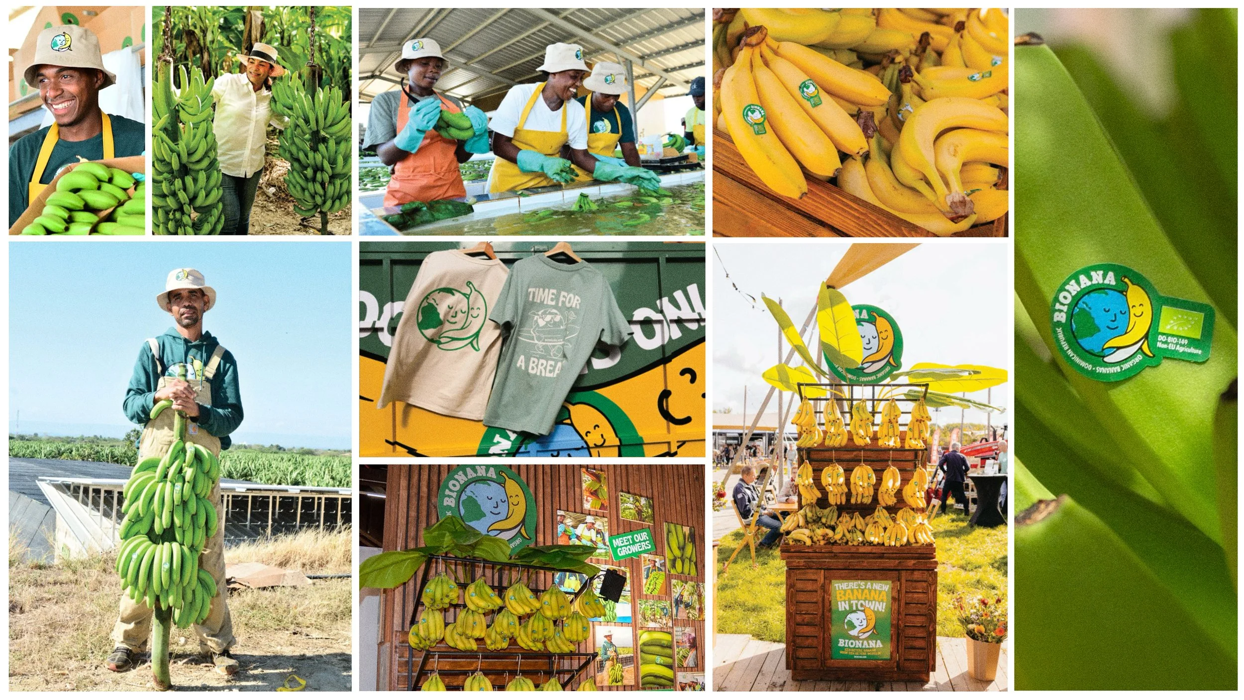 Bionana branding 01.jpg