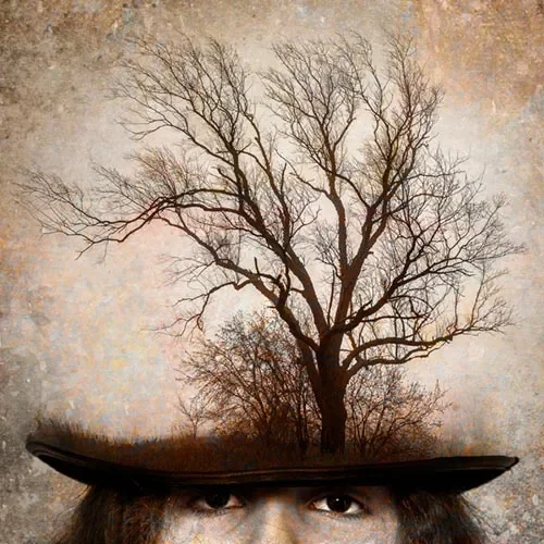 mixed_hat.jpg.webp