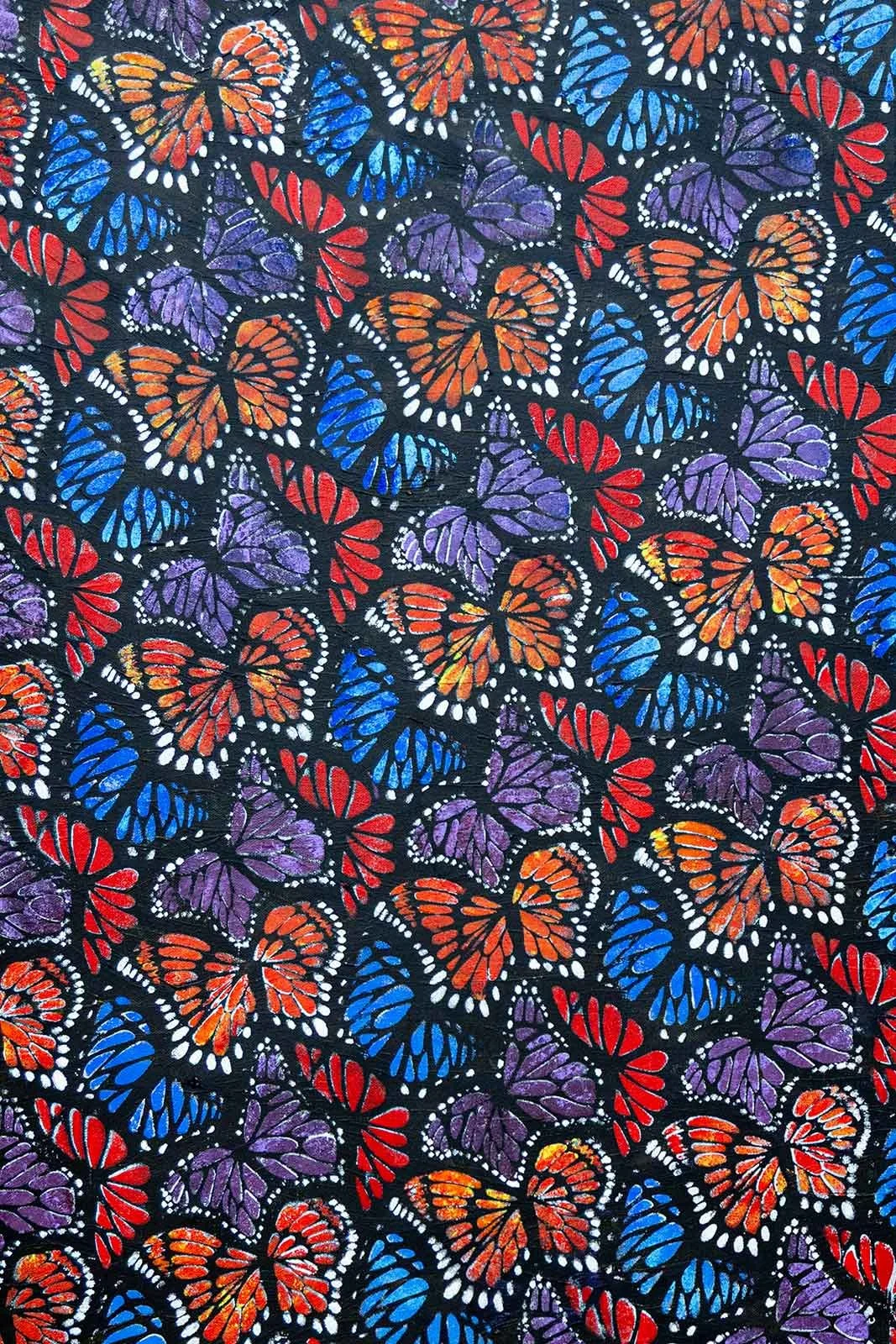 butterfliesclr.jpg