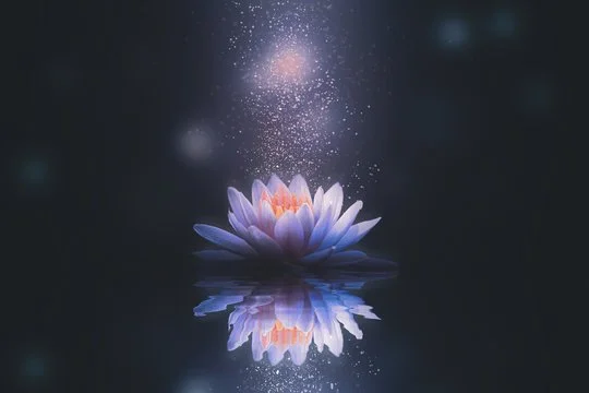 Abstract background with lotus flower.jpg