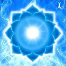 Powerful Full Body Detox, Parasite Cleanse & Health Coaching