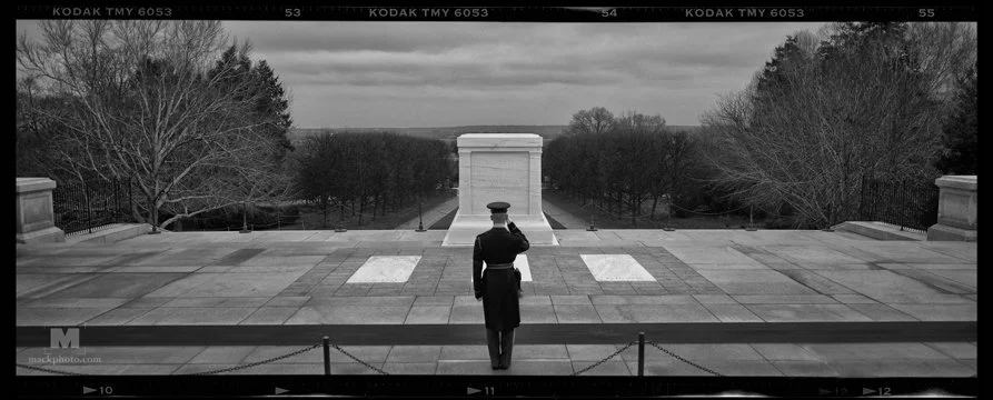 The Pond - Friday May 23