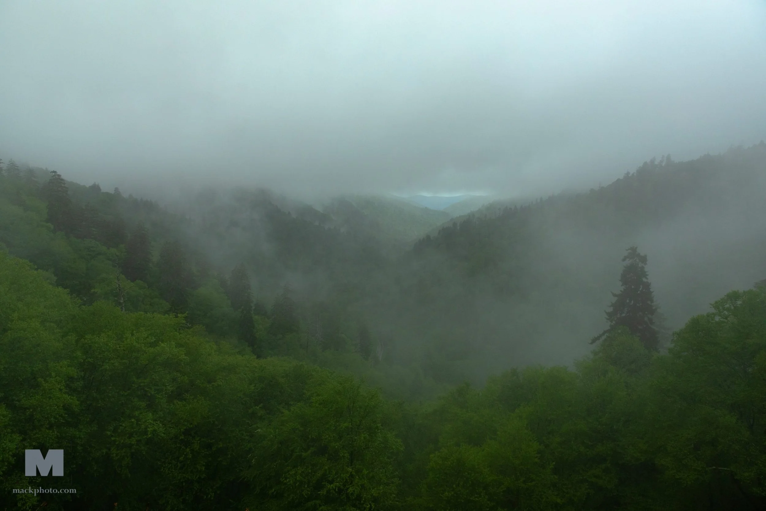 Great Smoky Mountains - Fog