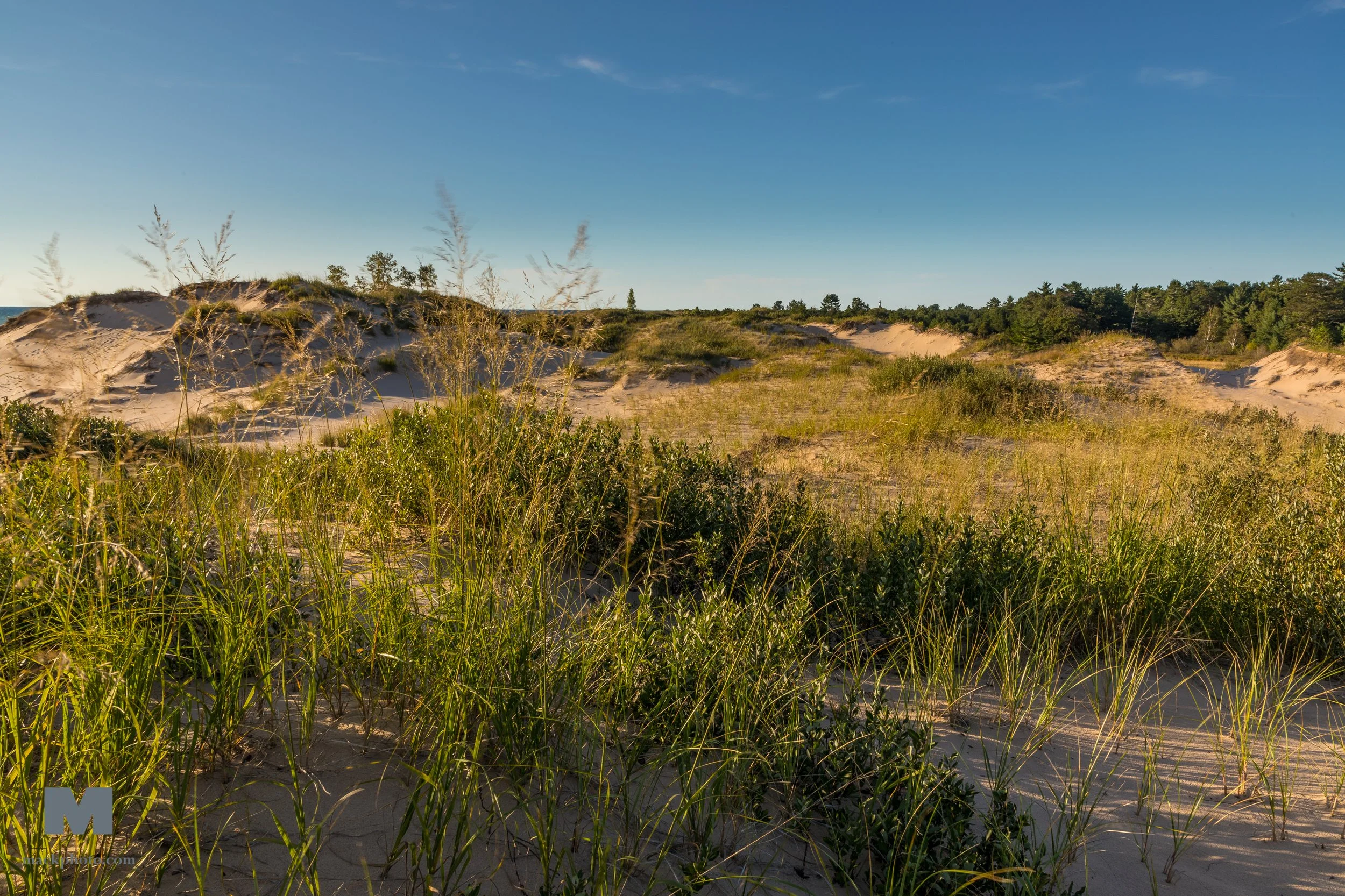 Ludington-State-Park-20180906-0084.jpg