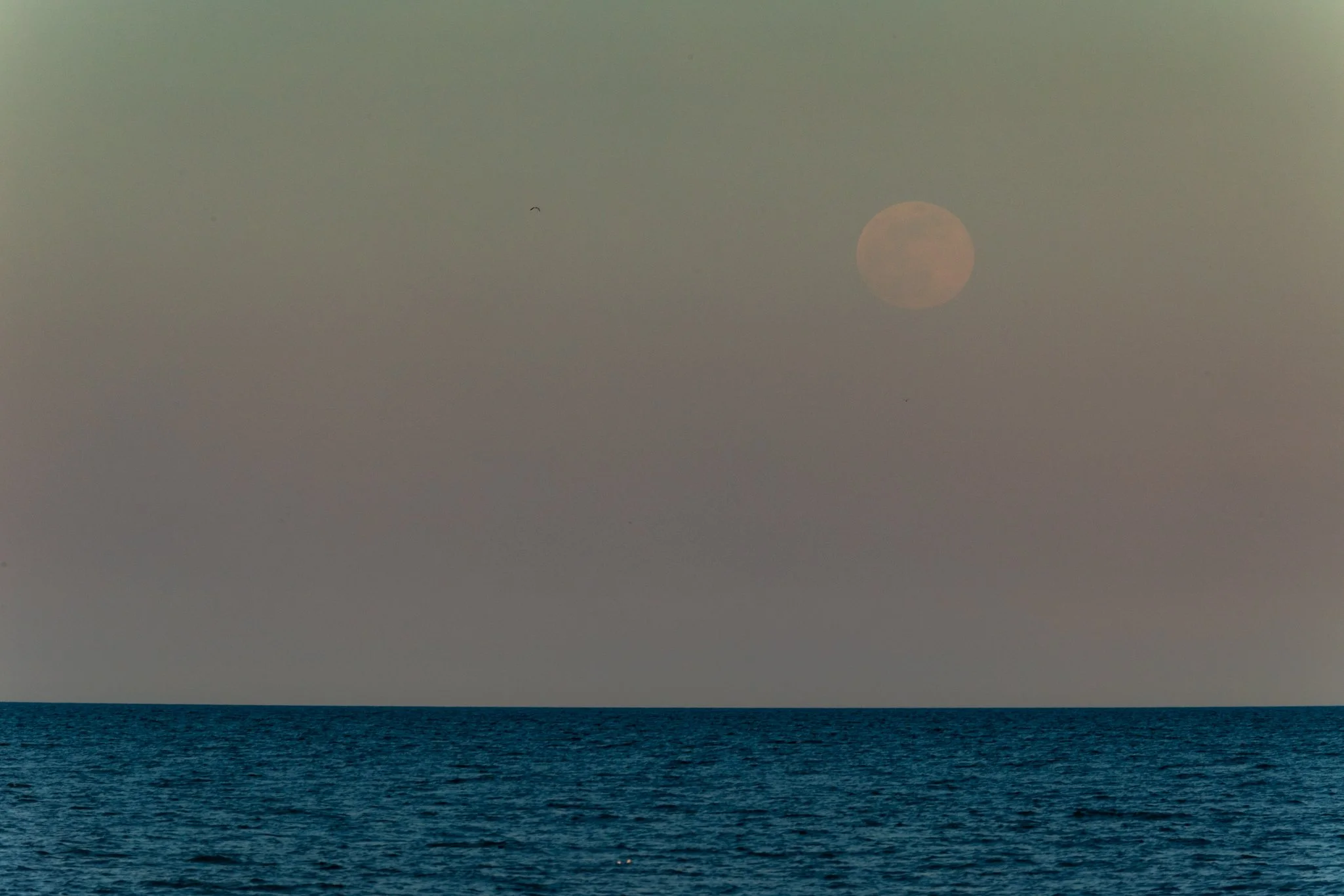 Moonrise, Lighthouse Beach