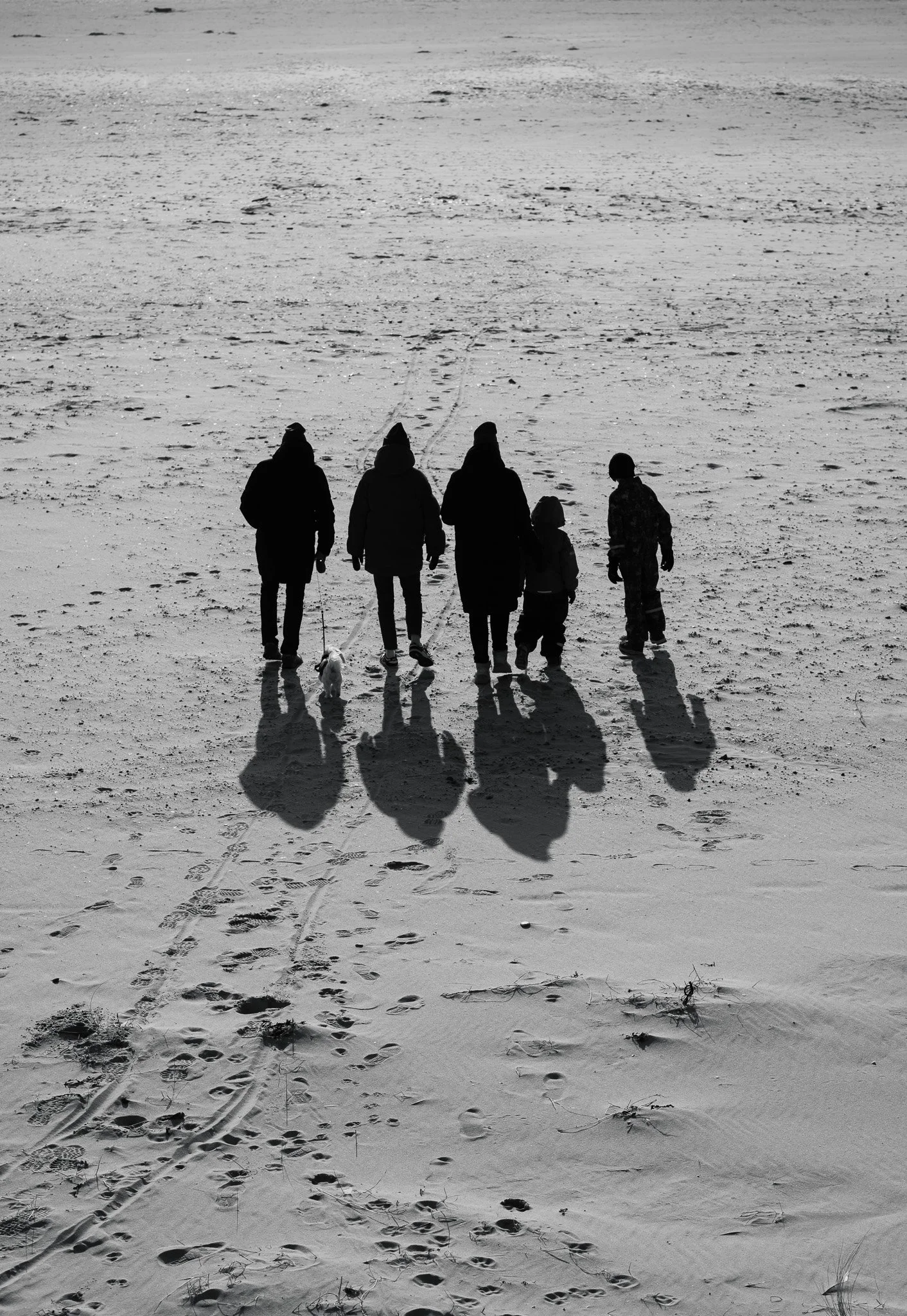 Silhouettes of six people and a dog walking on a sandy beach, with their long shadows cast on the sand.