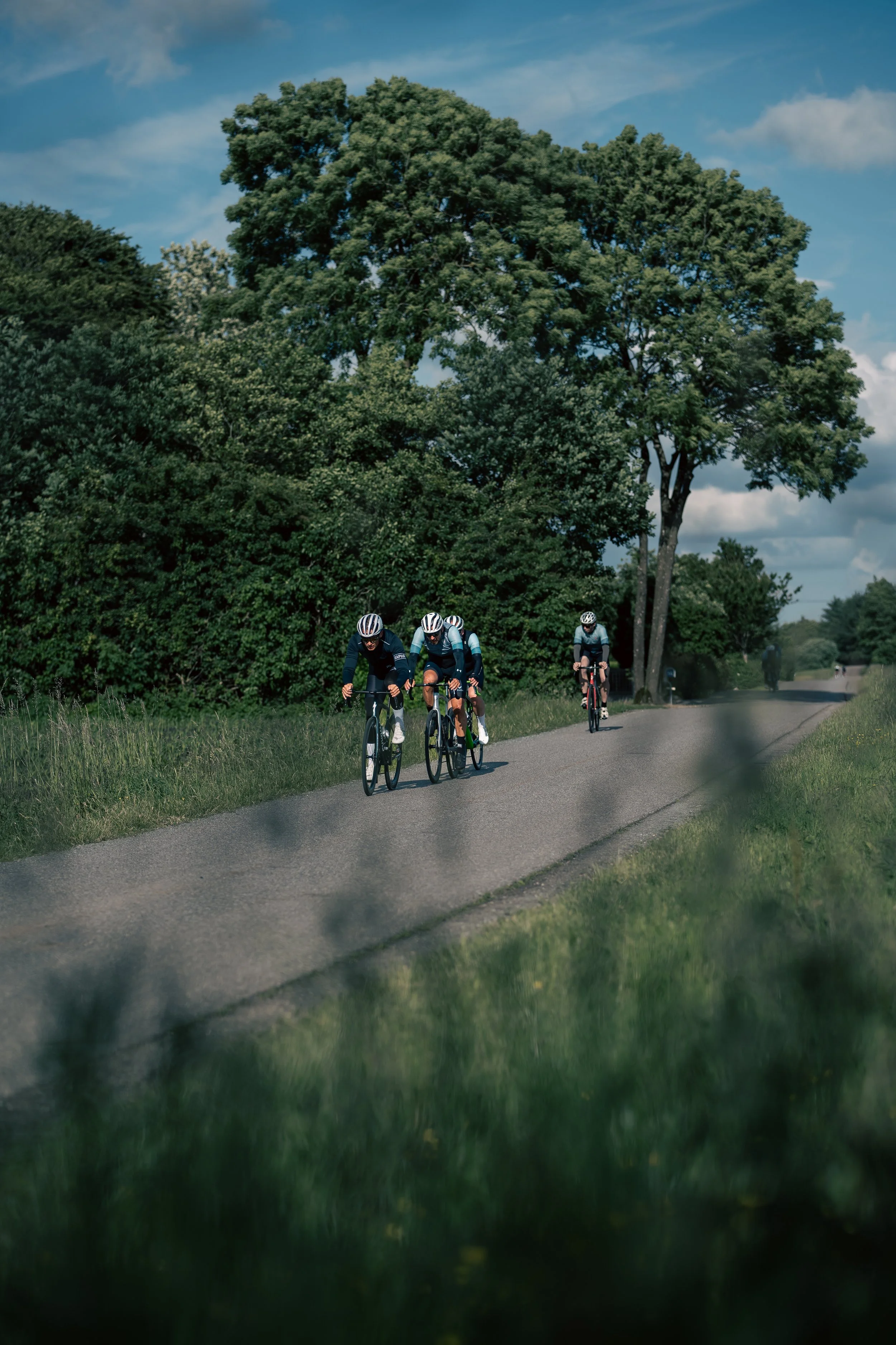 Group of road cyclists riding through a scenic countryside road, capturing teamwork, endurance, and the freedom of outdoor cycling in natural surroundings.