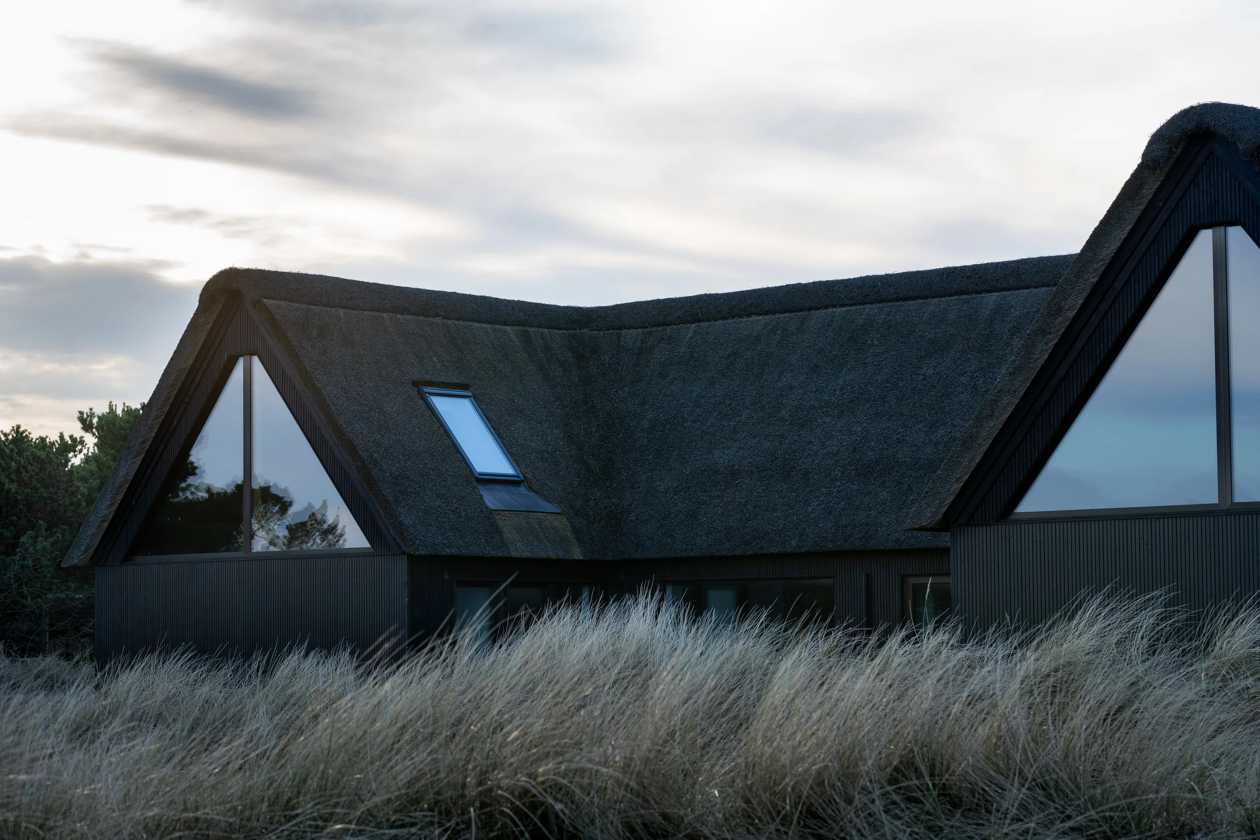 Contemporary Scandinavian beach house with a thatched roof and large triangular windows, blending modern design with a natural coastal landscape.