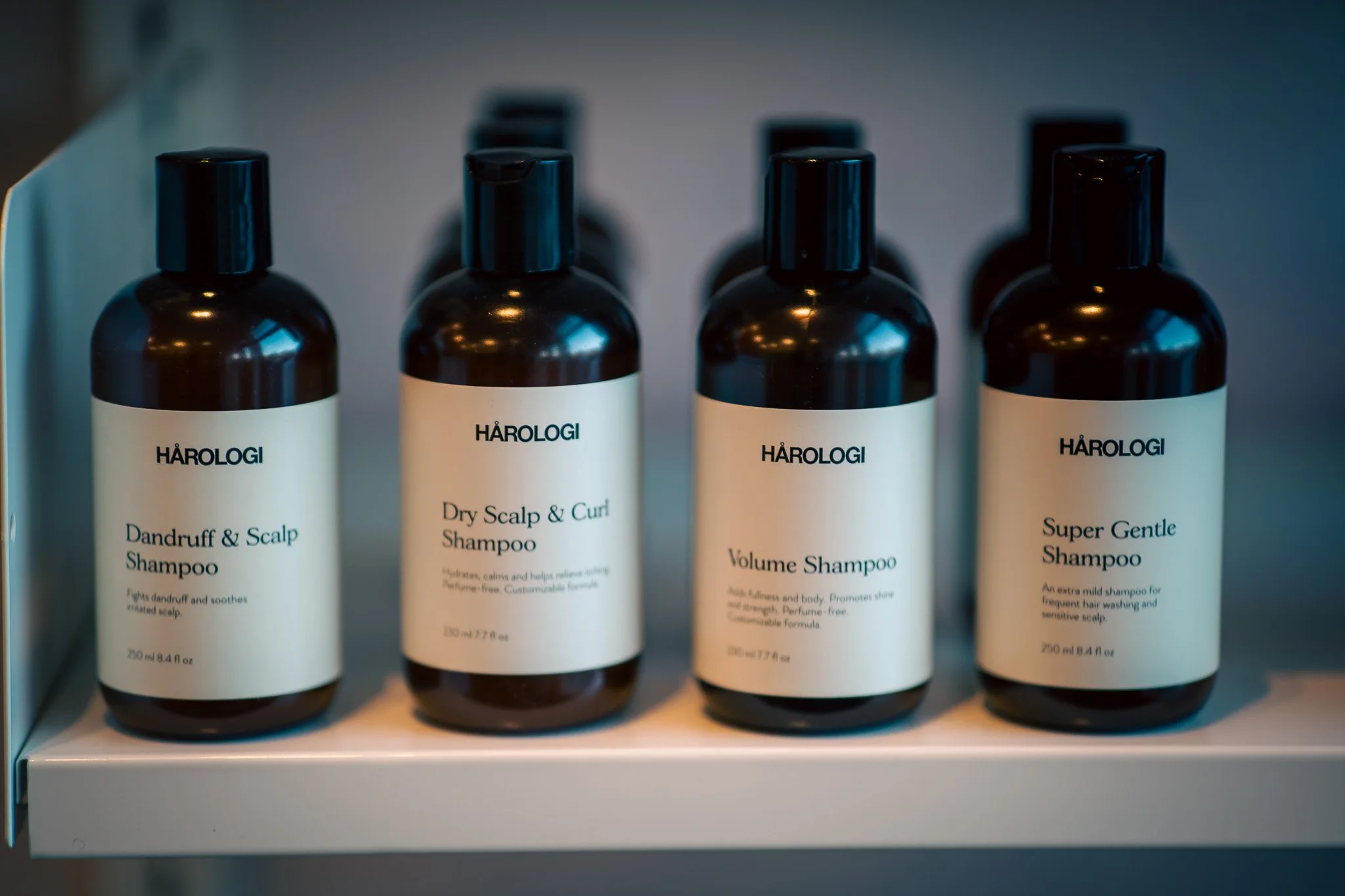 Four bottles of hair care shampoo on a white surface, labeled as Dandruff & Scalp Shampoo, Dry Scalp & Curl Shampoo, Volume Shampoo, and Super Gentle Shampoo.