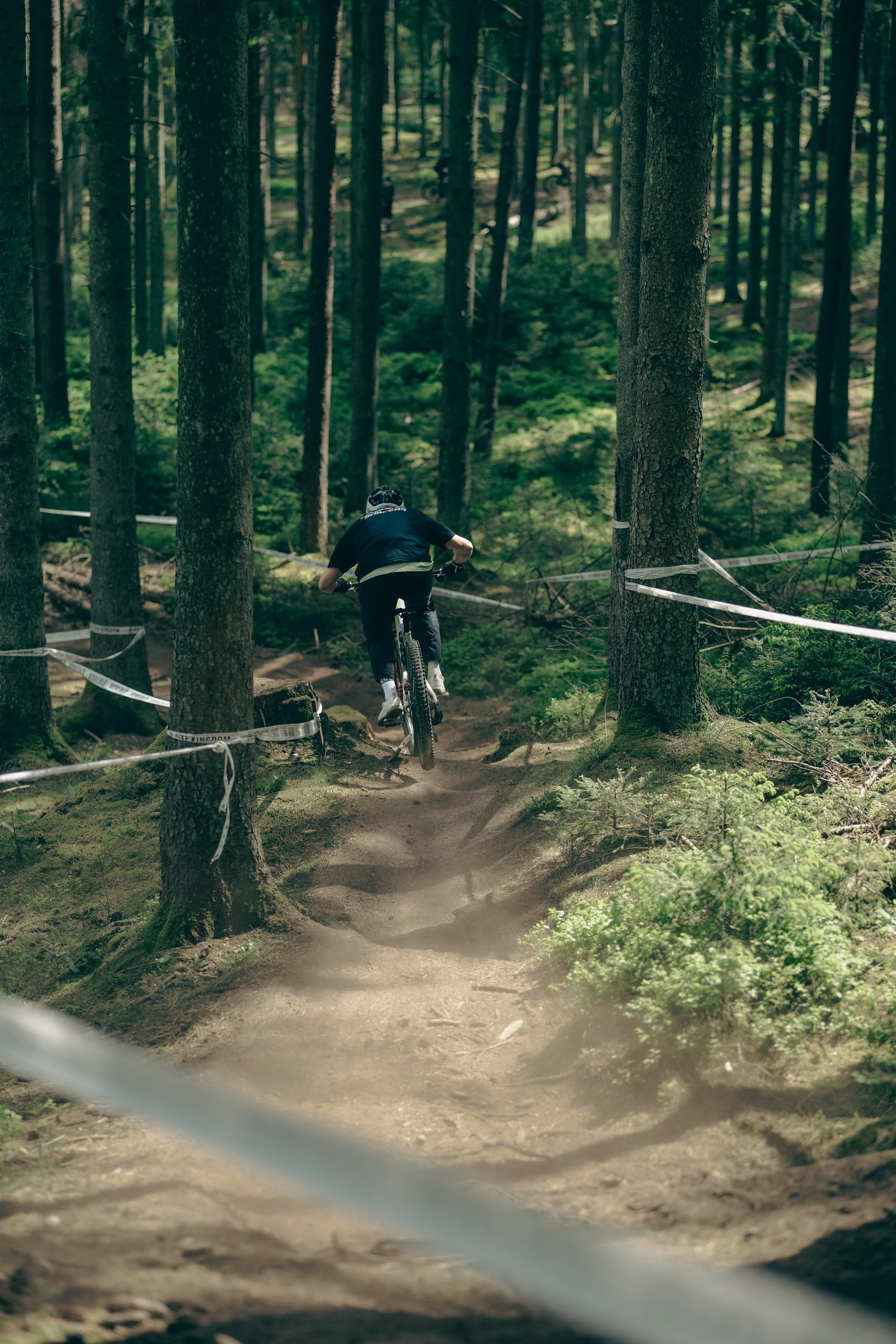 Action shot of a mountain biker riding a technical forest trail, capturing speed, focus, and adventure in a natural outdoor setting.