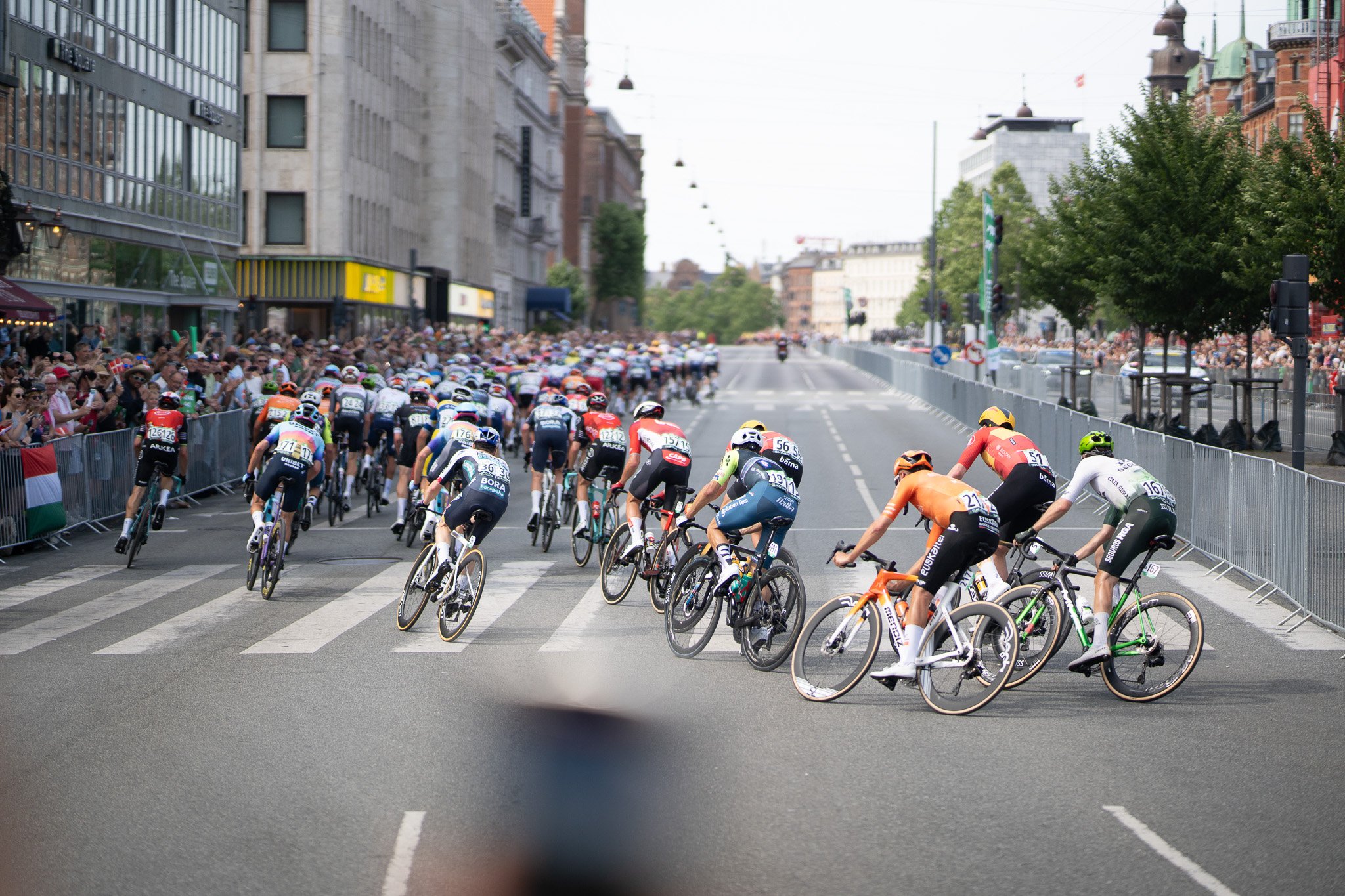 A large group of cyclists participating in a race on a city street, with crowds watching from behind barriers on the side of the road.