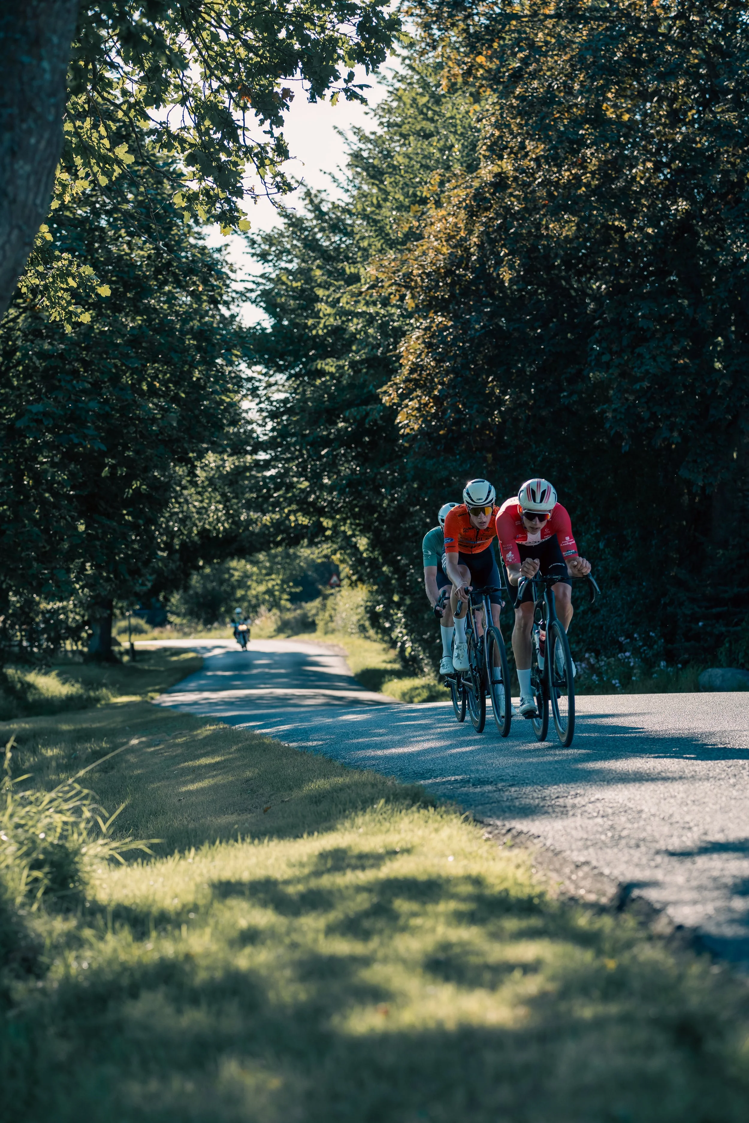 Three cyclists riding on a shaded rural road surrounded by trees during daytime.