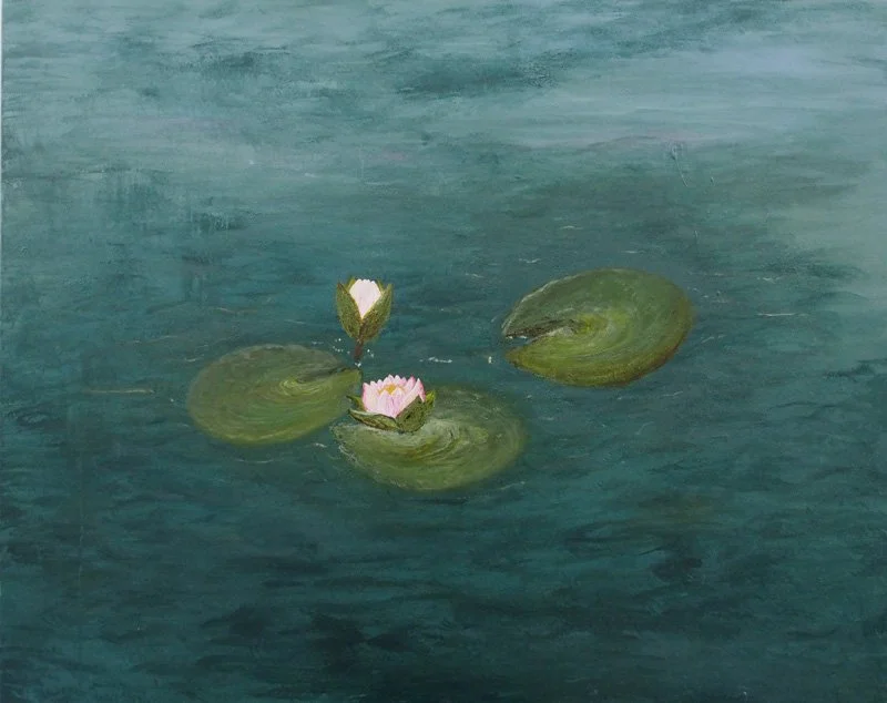 Seerosen auf einem Teich mit Wasserlilien und Blüten in ruhigem Wasser