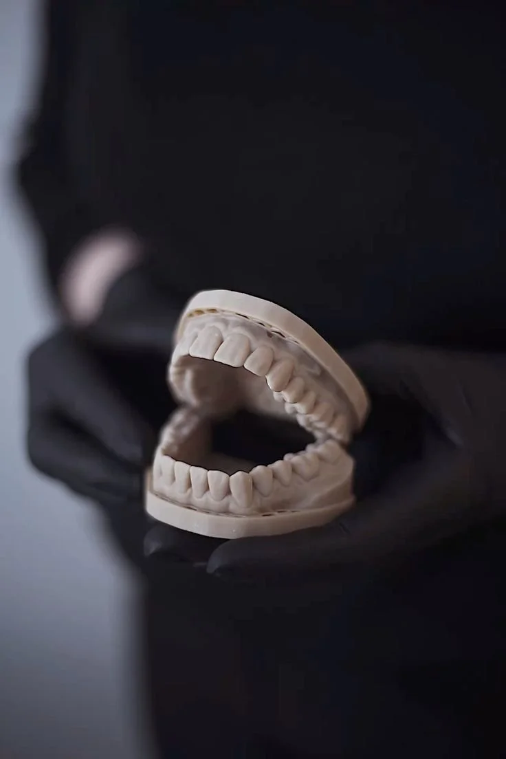 Dental model showing a full set of upper and lower teeth being held by a person wearing black gloves.