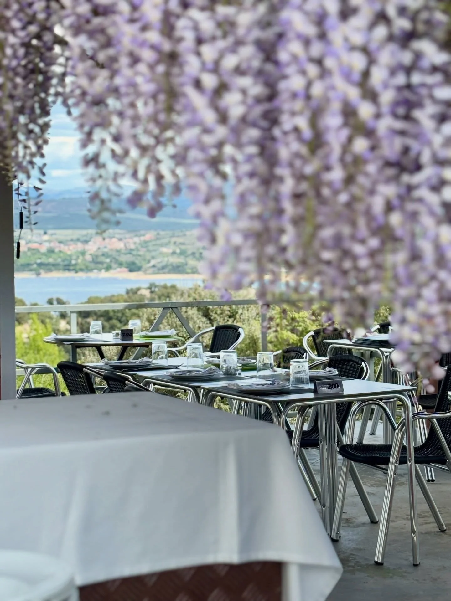 Esta terraza nos tiene enamorados 😍

La primavera tambi&eacute;n quiere quedarse en @restaurantepicachuelo para disfrutar de este maravilloso paisaje 🌺☀️

Ya est&aacute; disponible para todos los amantes del aire libre 

Reserva en:
El Picachuelo R