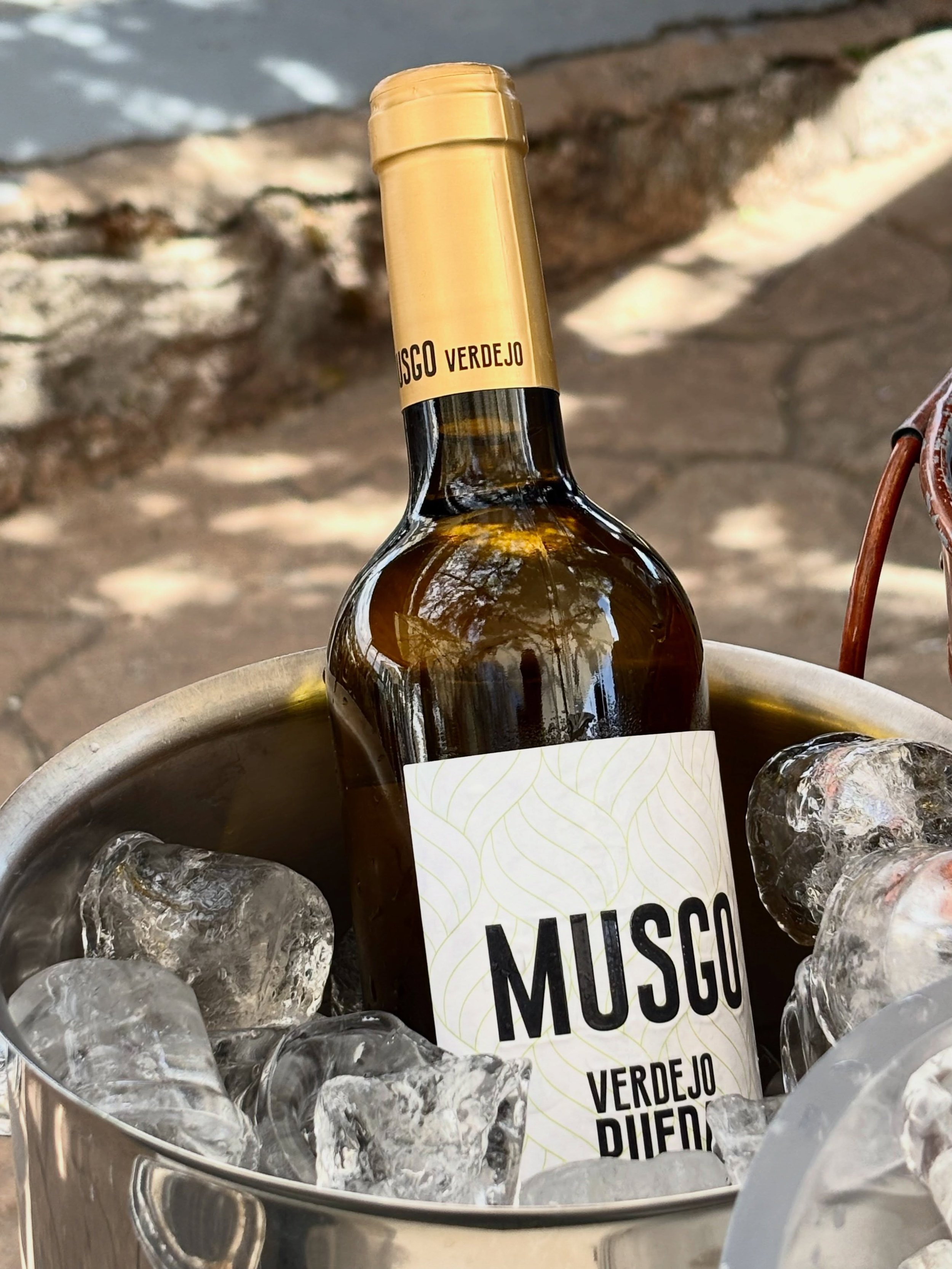 Nos gusta contar con Musgo Verdejo Rueda porque comparte con El Picachuelo un car&aacute;cter fresco, vivo y luminoso, con el alma verde de la tierra y la brisa limpia del campo que nos rodea 🌳🥂

Combina perfectamente bien con nuestra carta de pesc