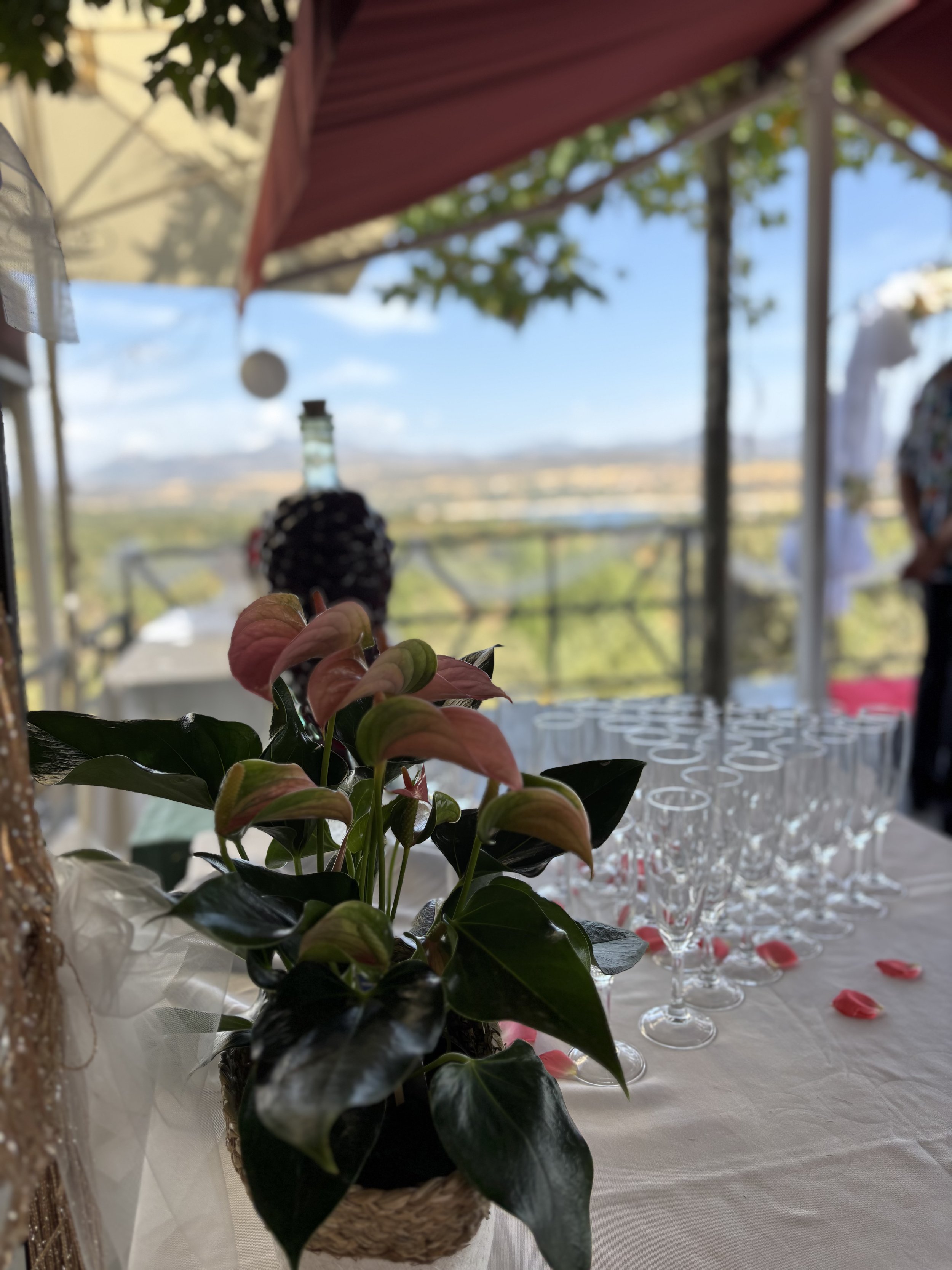Planta con hojas verdes y rosas en una mesa, con vasos de cristal y decoraciones florales para un evento al aire libre con cielo azul y paisaje en el fondo.