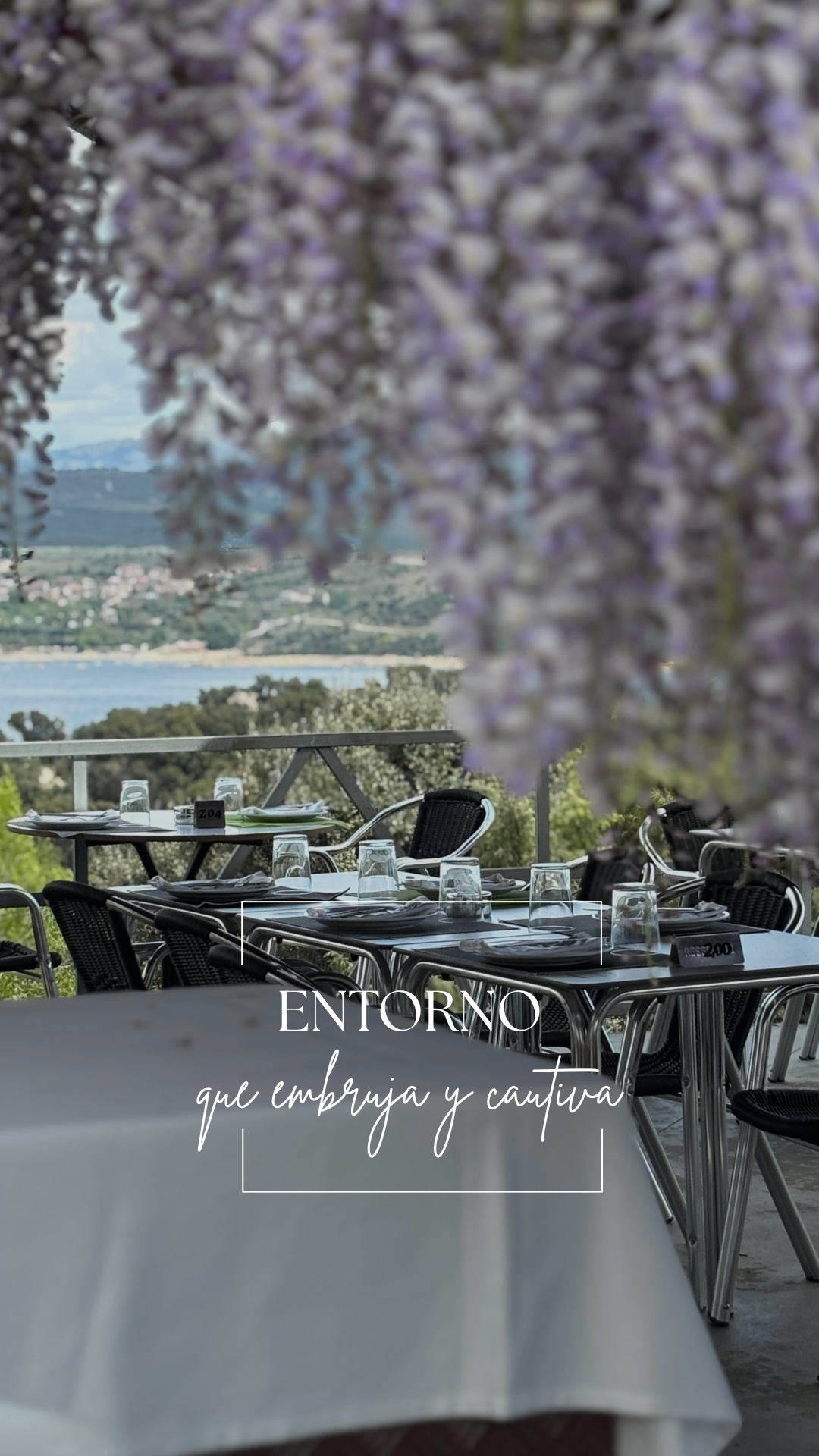 Mesa de restaurante al aire libre con platos, vasos y cubiertos, vista de un paisaje con agua y montañas al fondo, rodeada de flores moradas colgantes.