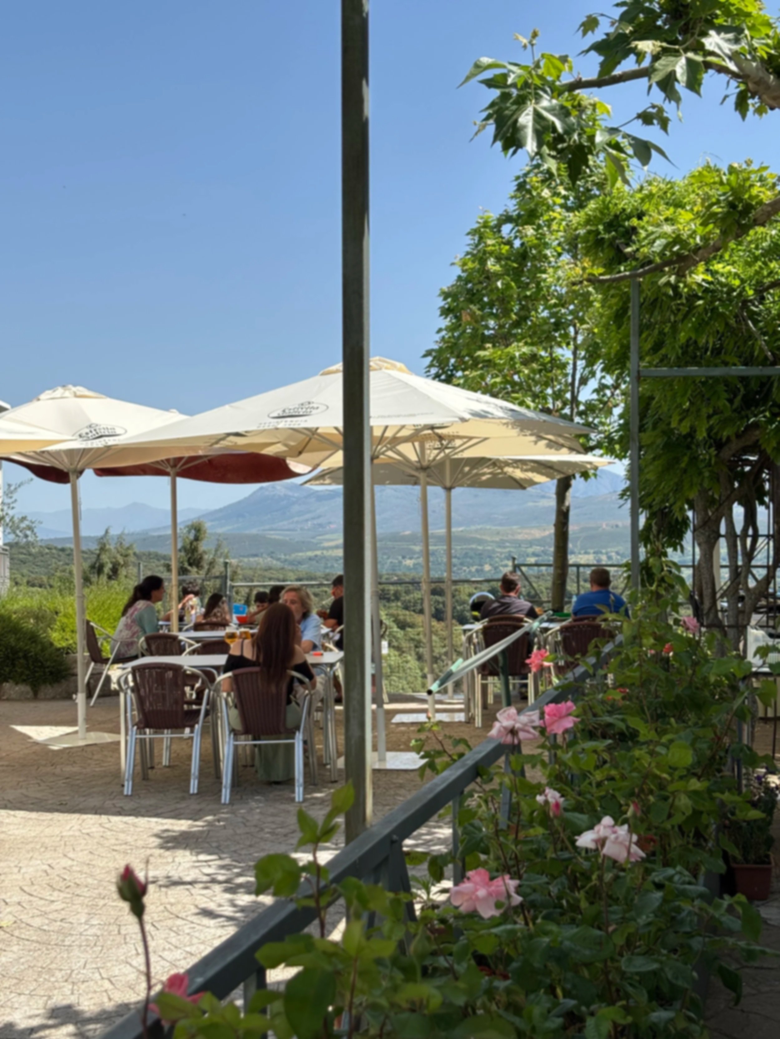 Clientes sentados en mesas de restaurante al aire libre con sombrillas, en un lugar con paisaje montañoso y árboles verdes, flores rosas en primer plano, día soleado con cielo despejado.
