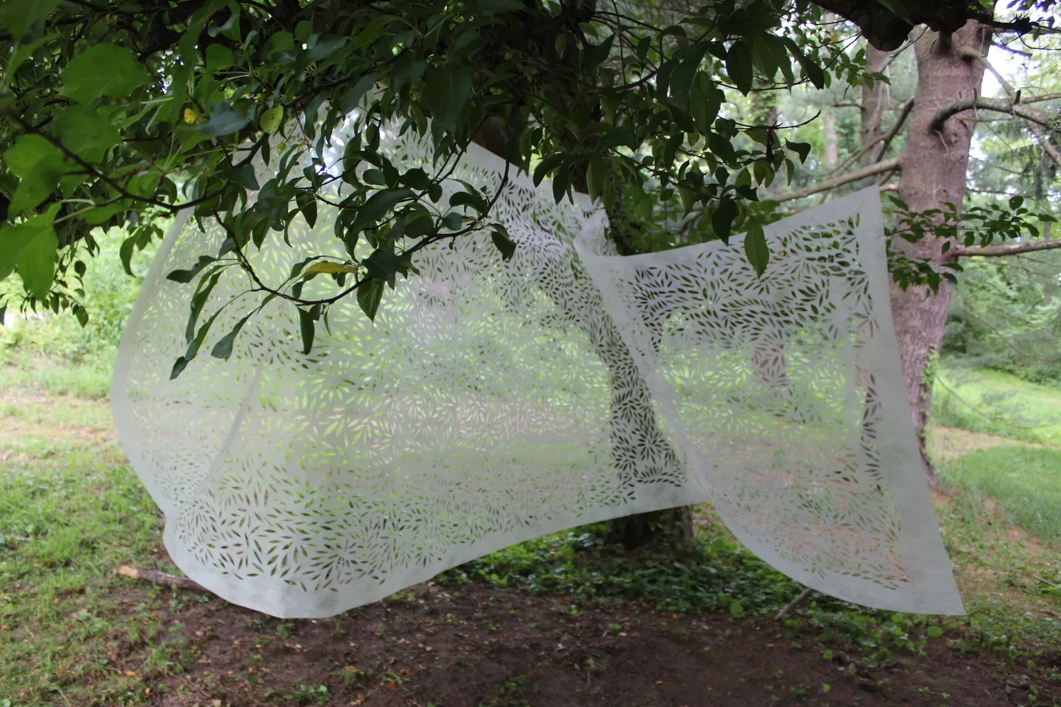 White decorative fabric with leaf patterns hanging between trees in a green outdoor setting.