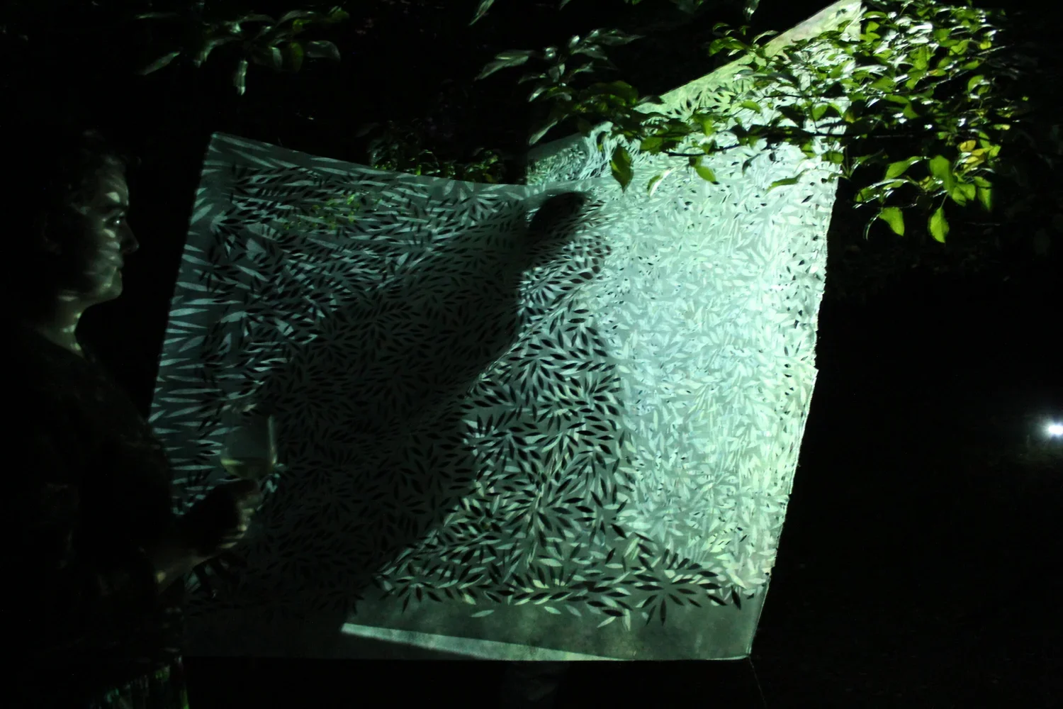Person holding a illuminated translucent panel with leaf patterns, silhouetted against a dark background with some green foliage visible.