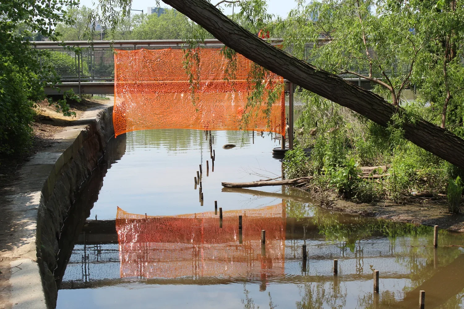 A small waterway with a partially submerged orange privacy screen hanging on a railing. The water reflects the screen and surrounding greenery. A fallen tree leans over the water, with a sidewalk nearby and a city skyline in the background.