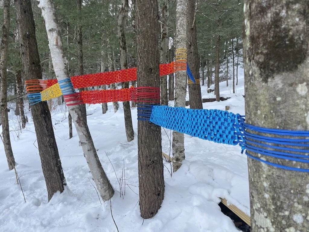 Colorful woven slackline or webbing tied between trees in a snowy forest.