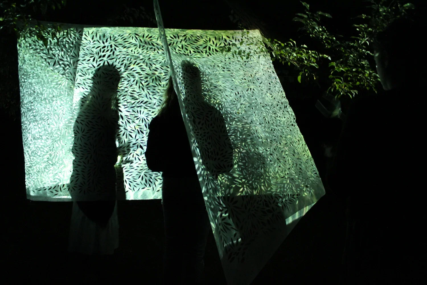 Two people standing behind a decorative screen with leaf patterns, with their shadows cast onto it, and tree branches visible at the top right corner.