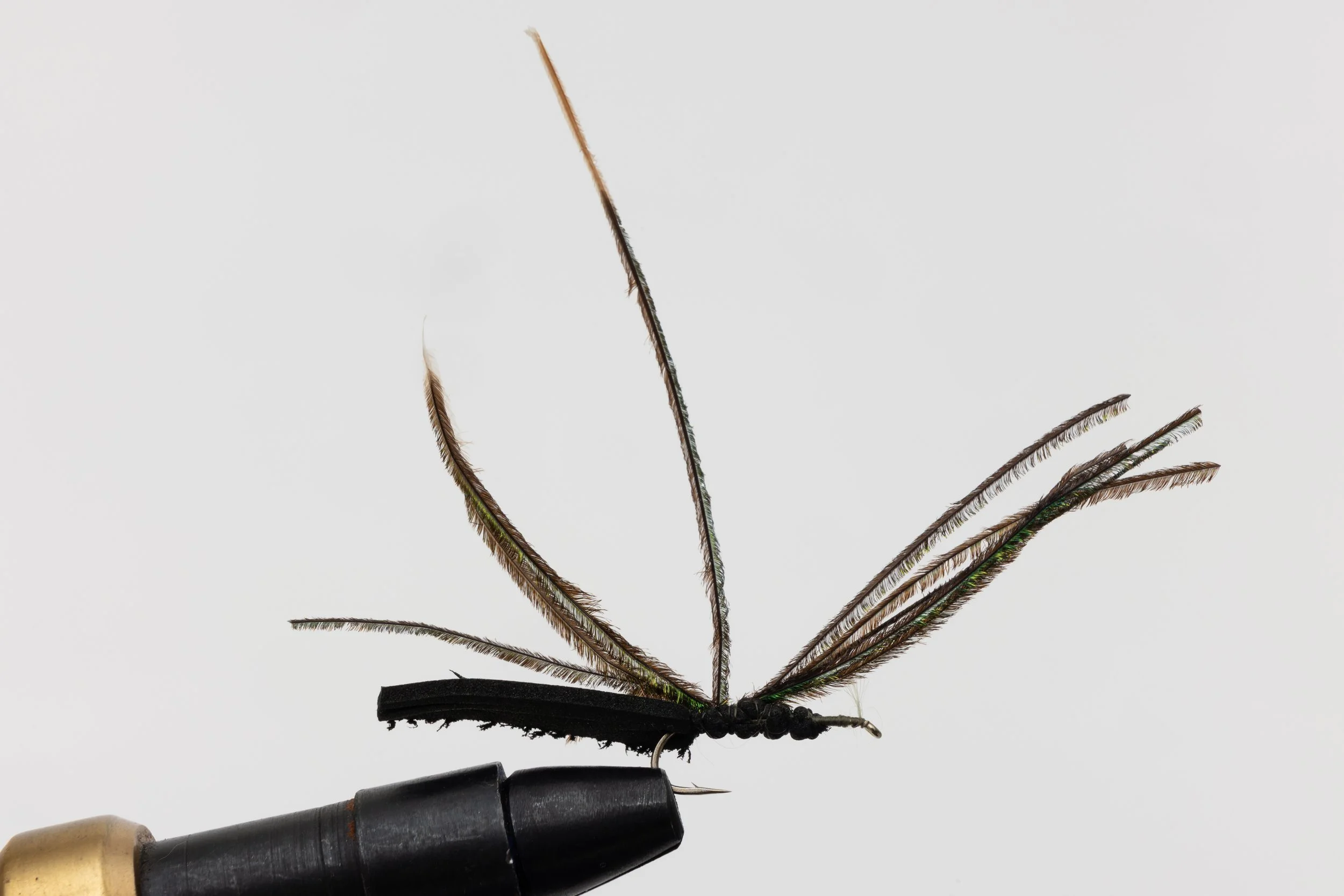 flies