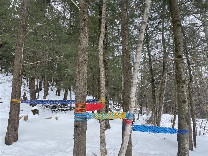 Colorful woven ribbons wrapped around tree trunks in a snowy forest.