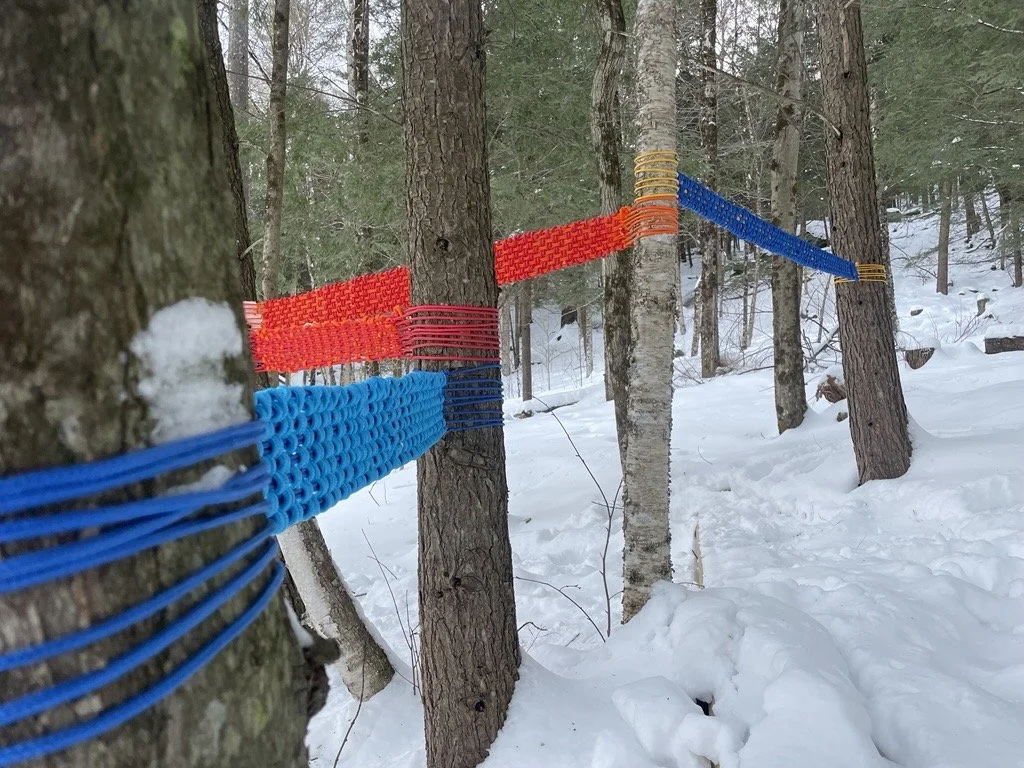 Colorful woven ropes or straps wrapped around trees in a snowy forest, creating a pattern.