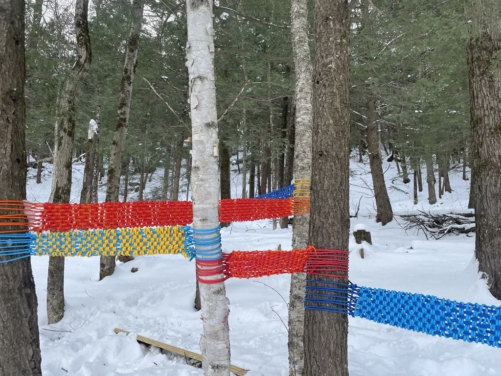 Colorful woven plastic strips tied around trees in a snowy forest.
