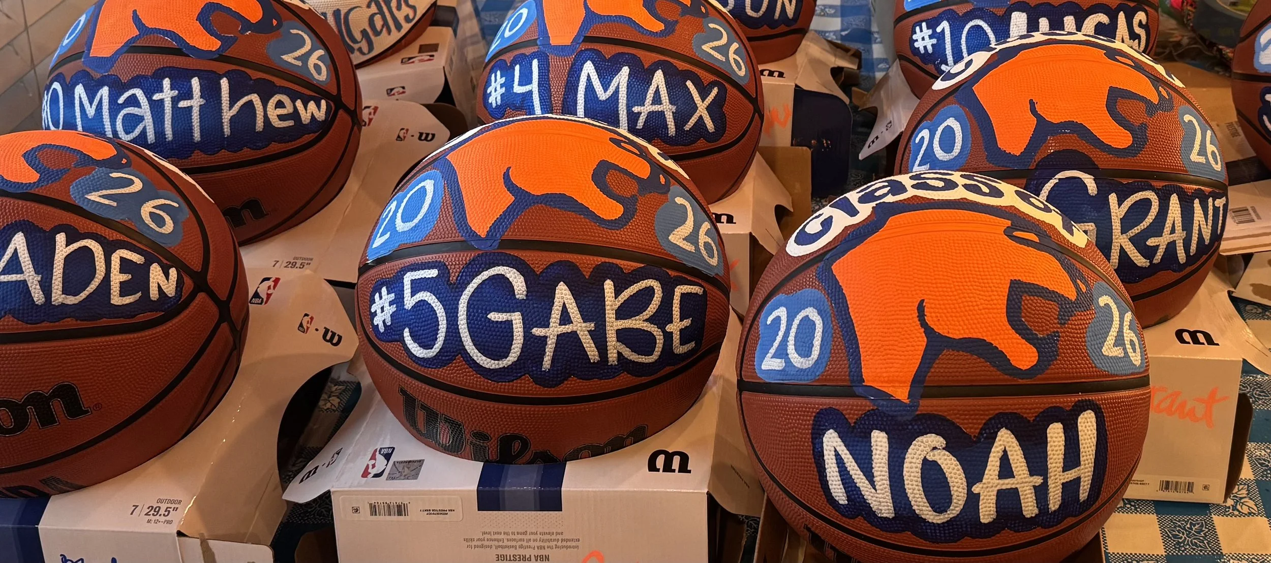 Customized Basketballs, Volleyballs and Soccer Balls
