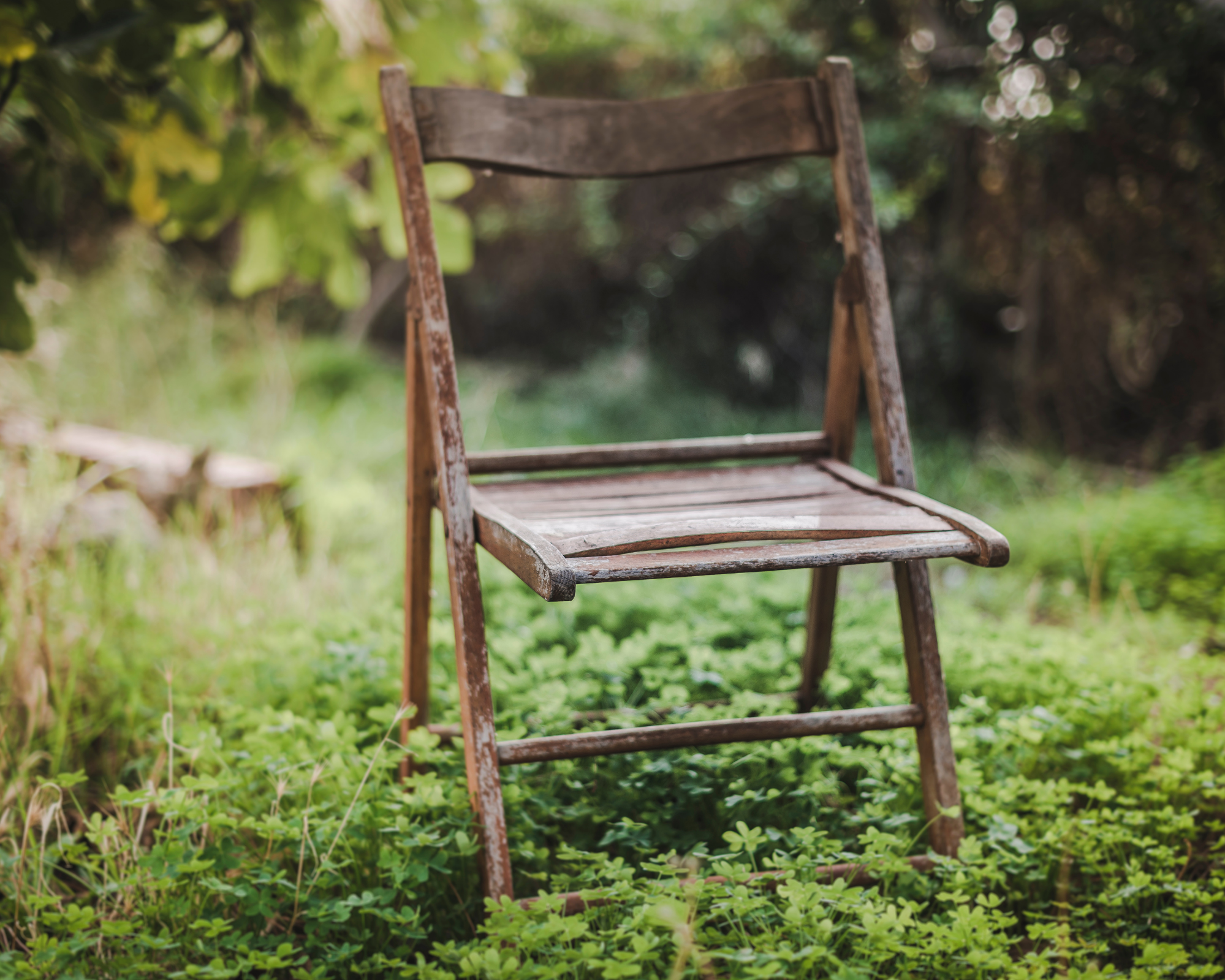 IL VUOTO FERTILE                                                                dal silenzio alla creazione