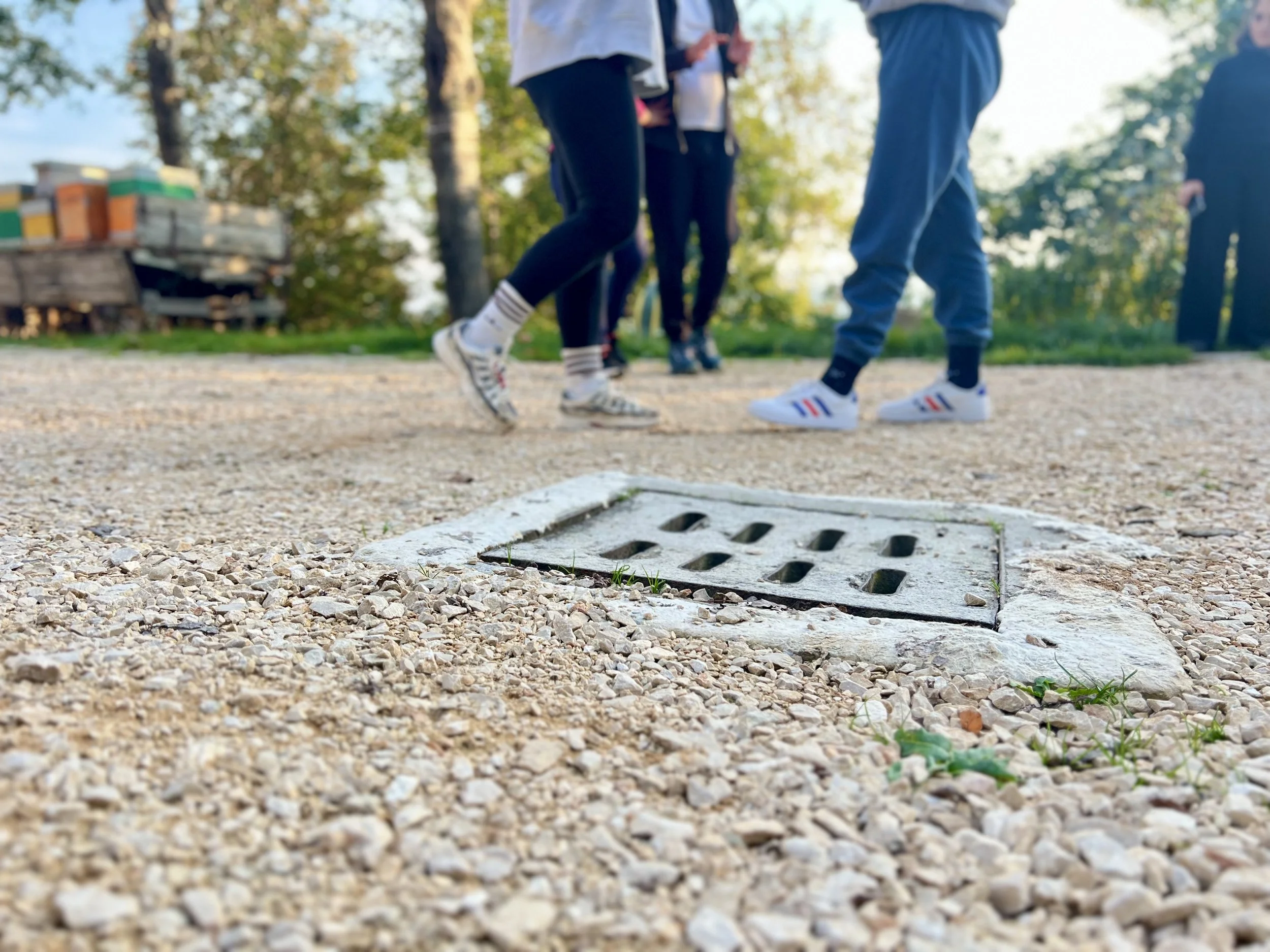 Persone che camminano su un sentiero in un parco, visibile un tombino nel primo piano, con sfondo alberi e cielo.