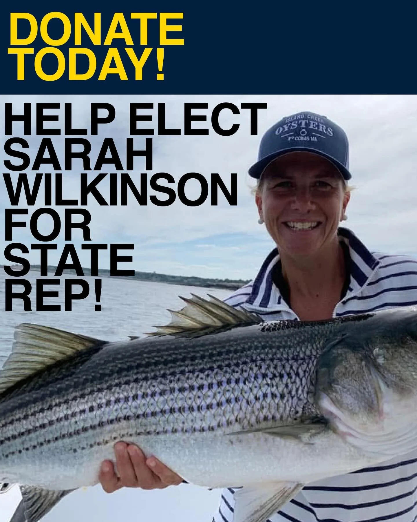 Donate today at https://secure.actblue.com/donate/wilkinsonforcapeann

Thank you to everyone who has already made a donation!